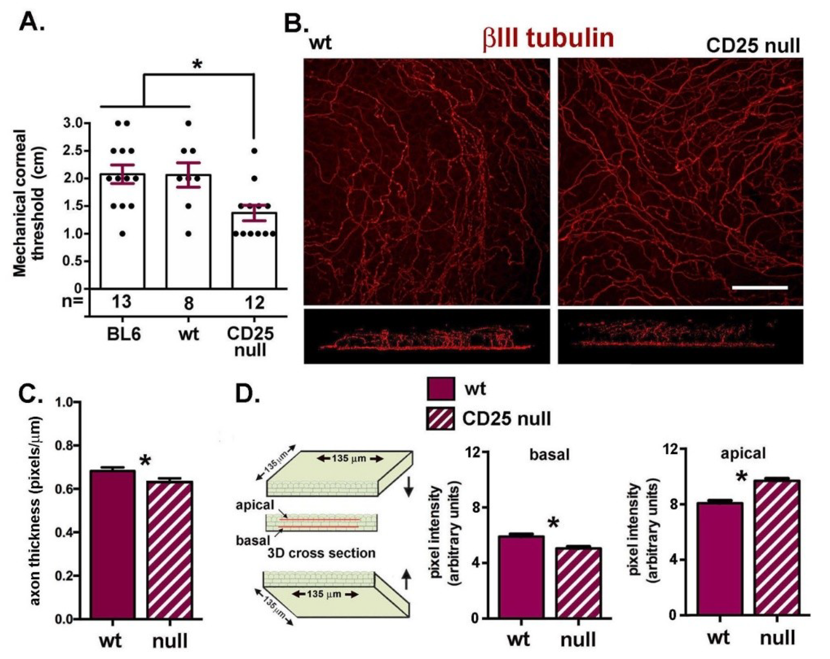 Ijms 19 03821 g005 Ijms 19 03821 g005