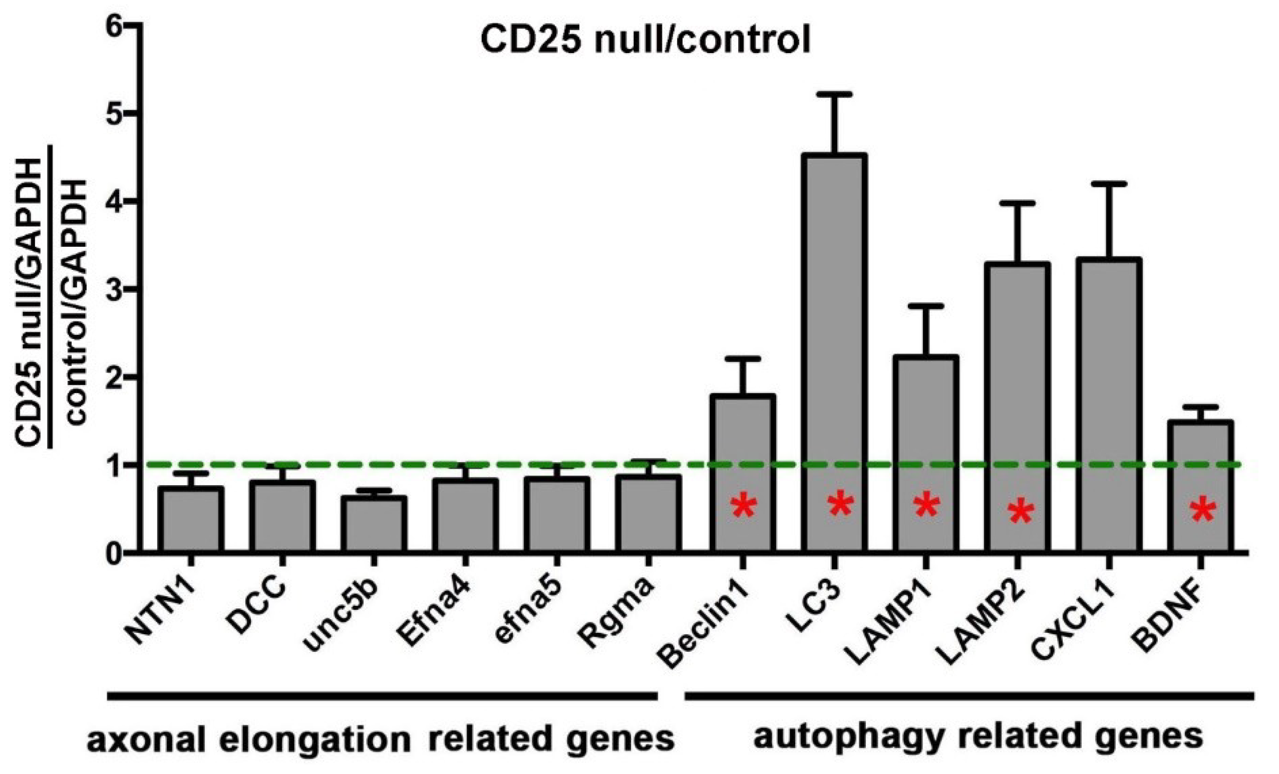Ijms 19 03821 g006 Ijms 19 03821 g006