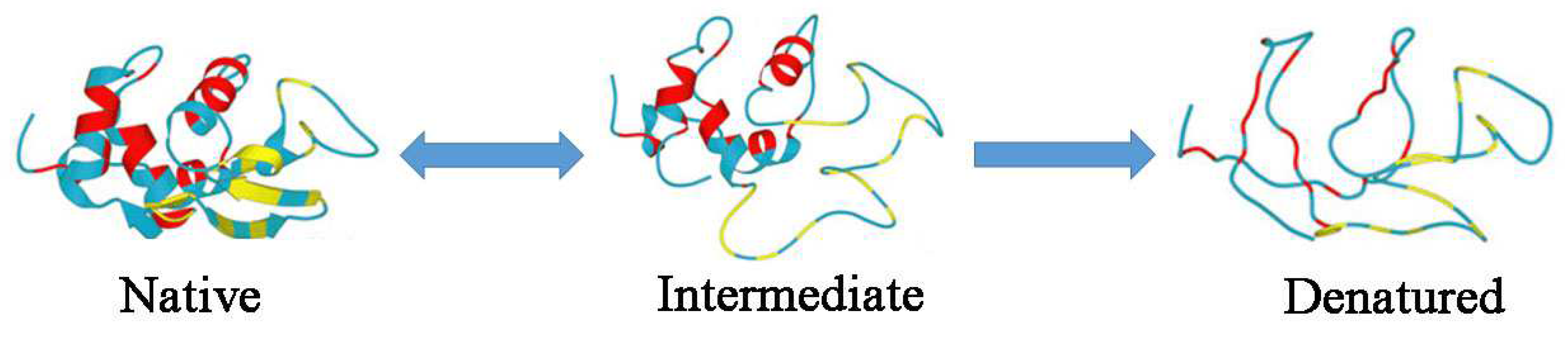 Ijms 19 03825 g001 Ijms 19 03825 g001