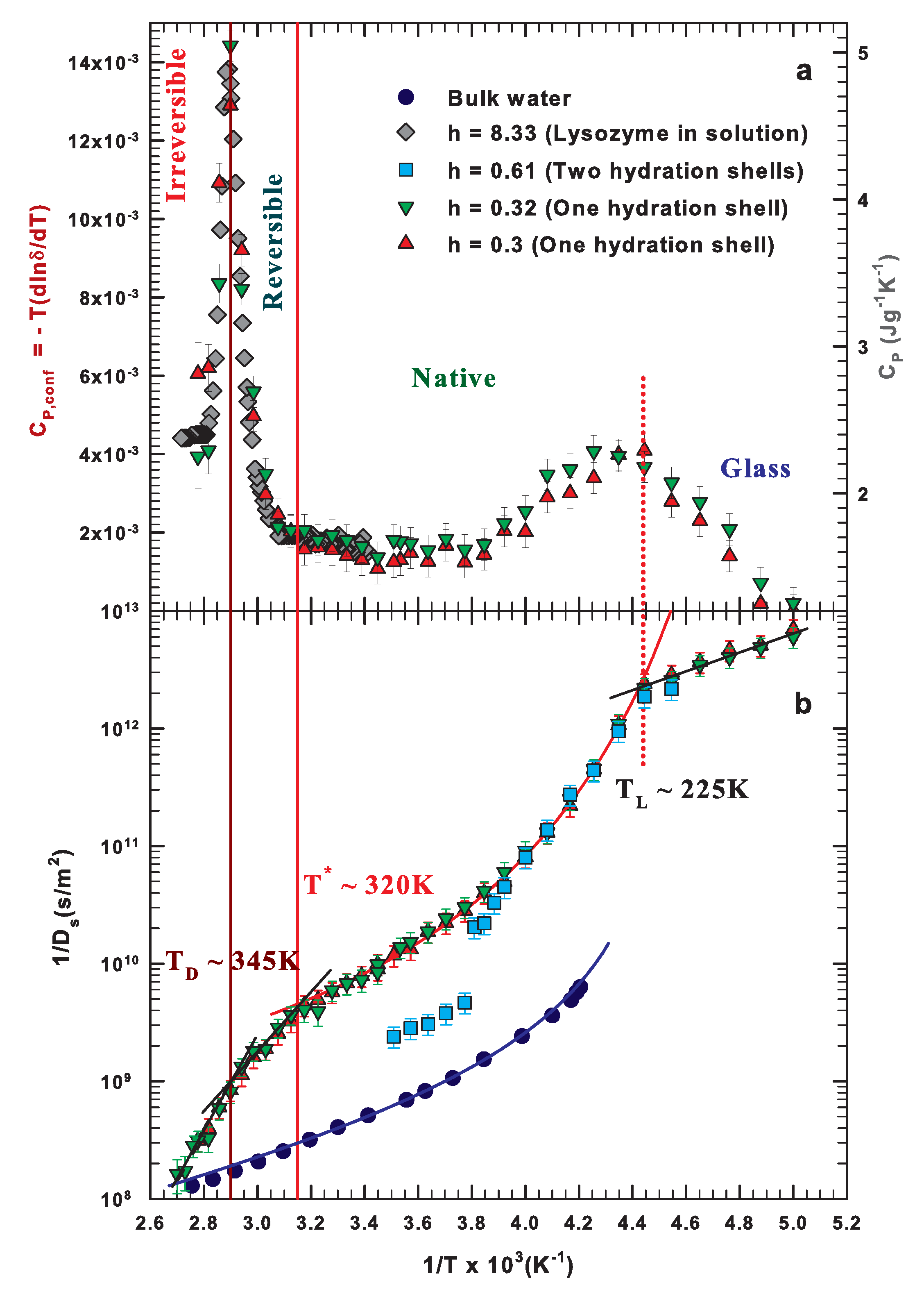 Ijms 19 03825 g003 Ijms 19 03825 g003