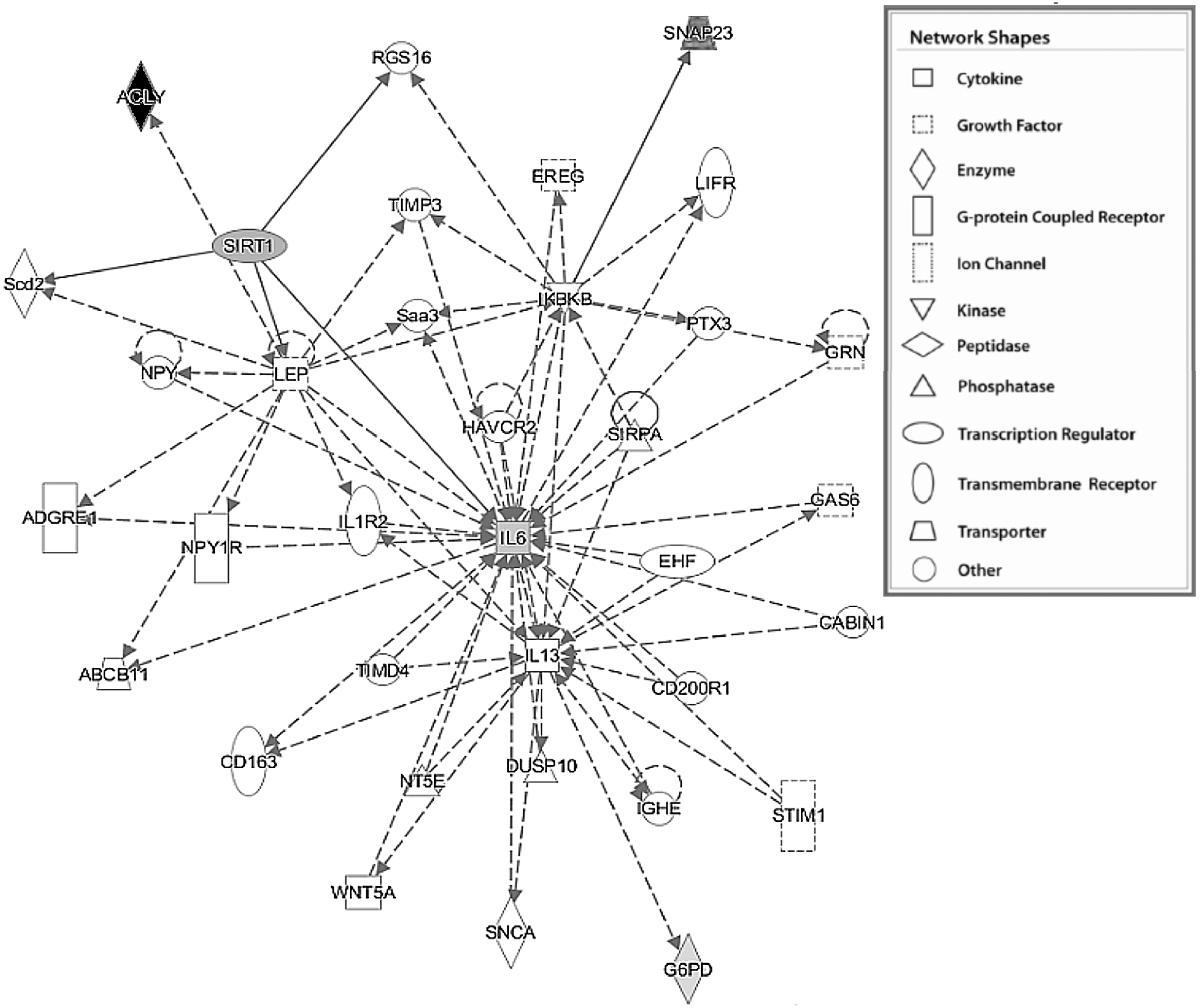 Ijms 19 03826 g003 Ijms 19 03826 g003