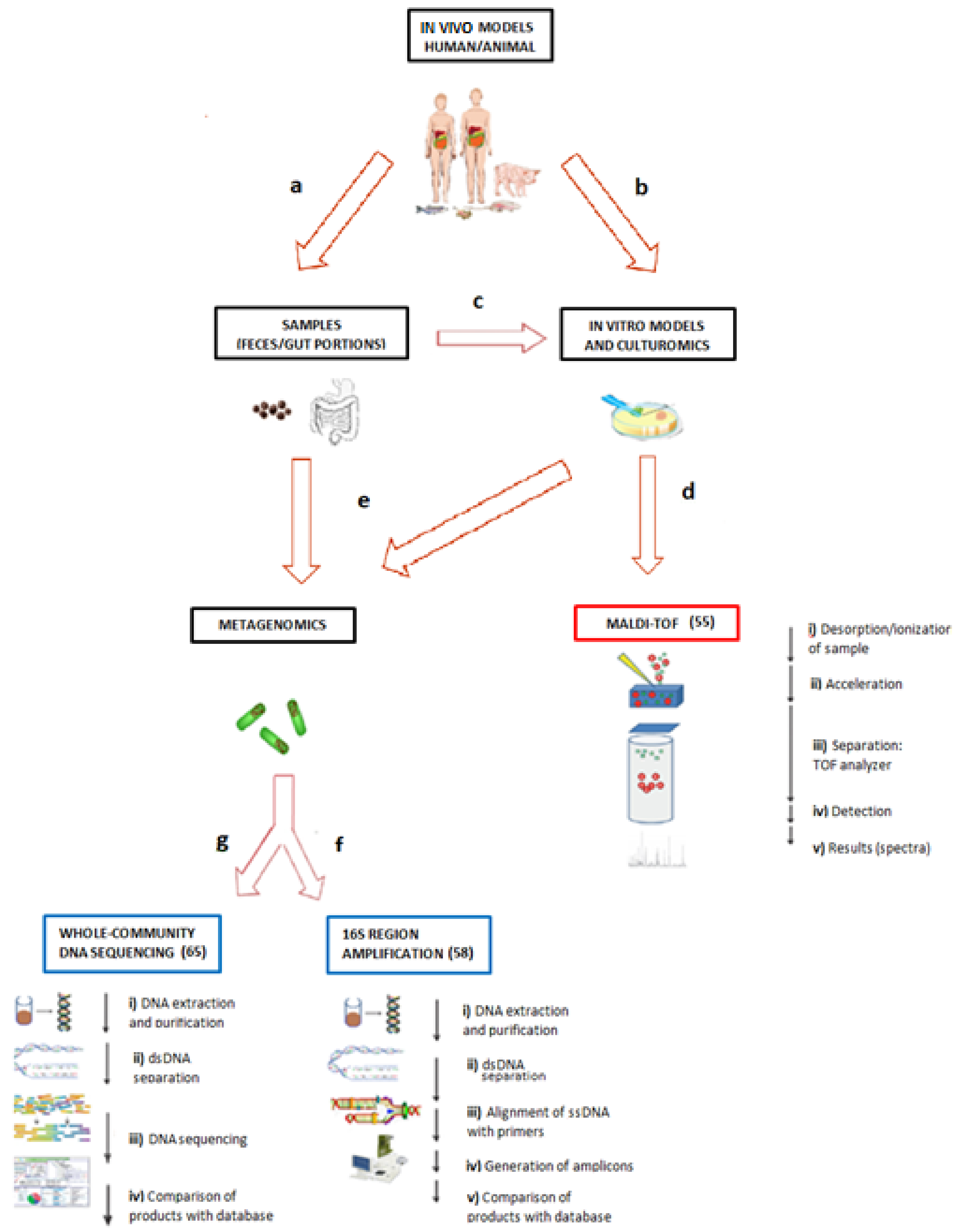 Ijms 19 03827 g001 Ijms 19 03827 g001