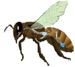 Ijms 19 03827 i002 Ijms 19 03827 i002