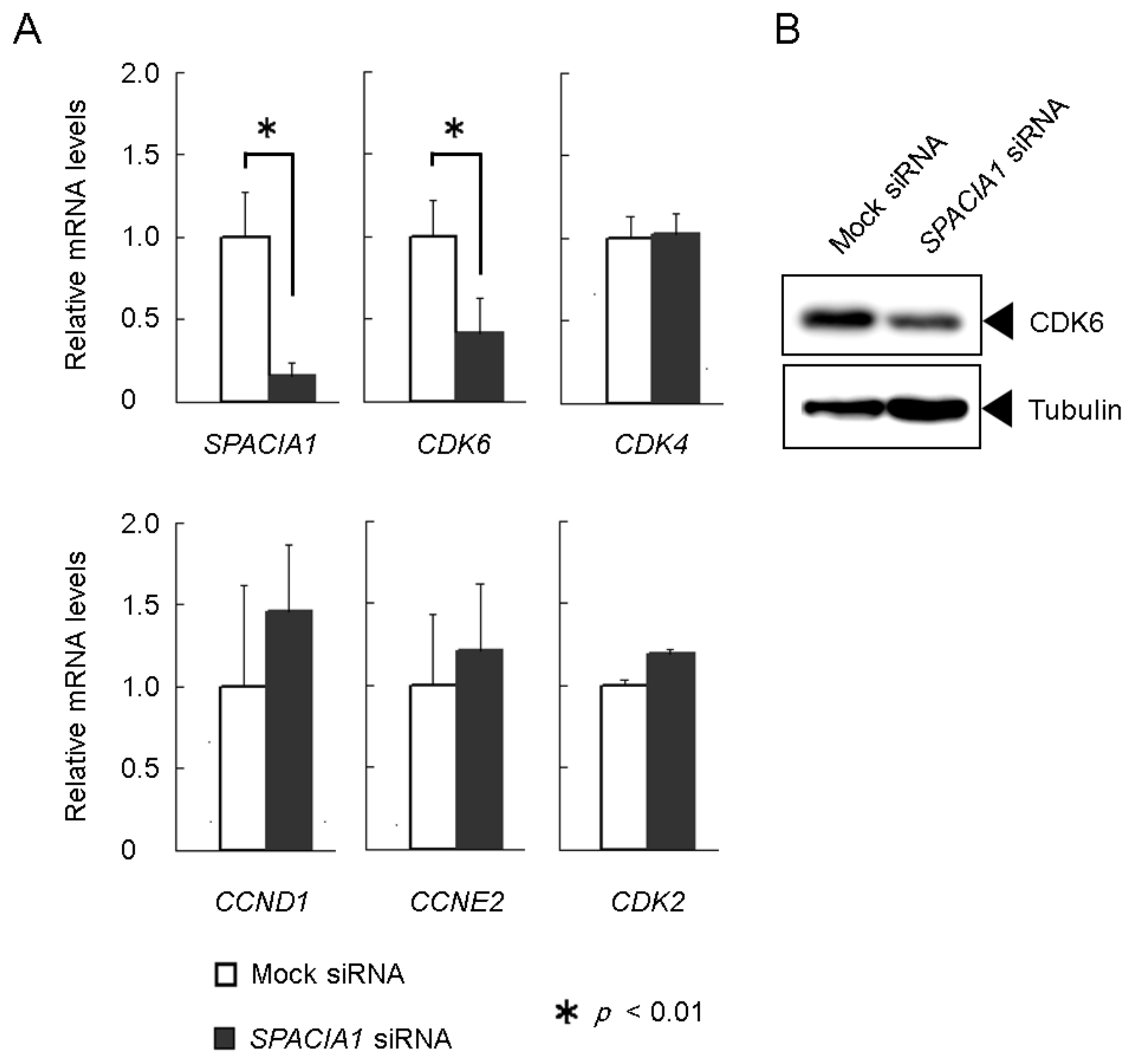 Ijms 19 03828 g003 Ijms 19 03828 g003