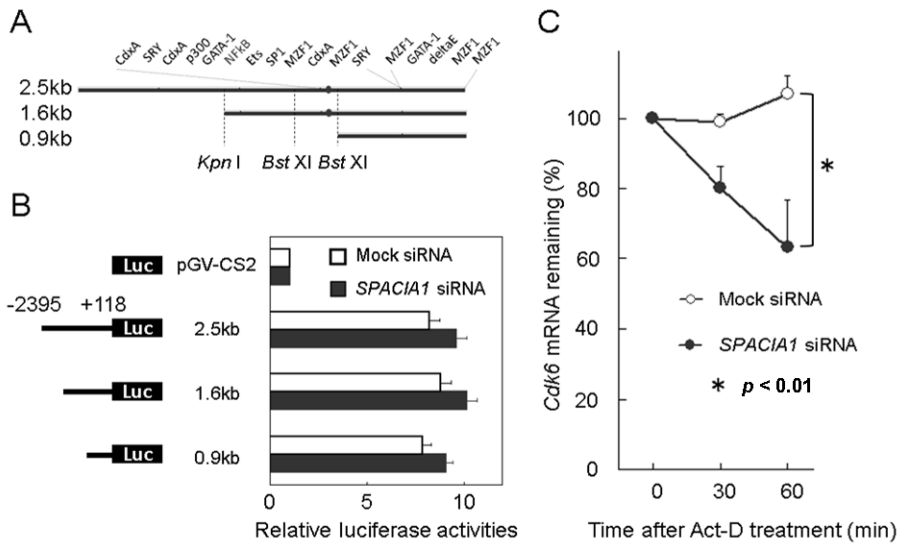Ijms 19 03828 g005 Ijms 19 03828 g005