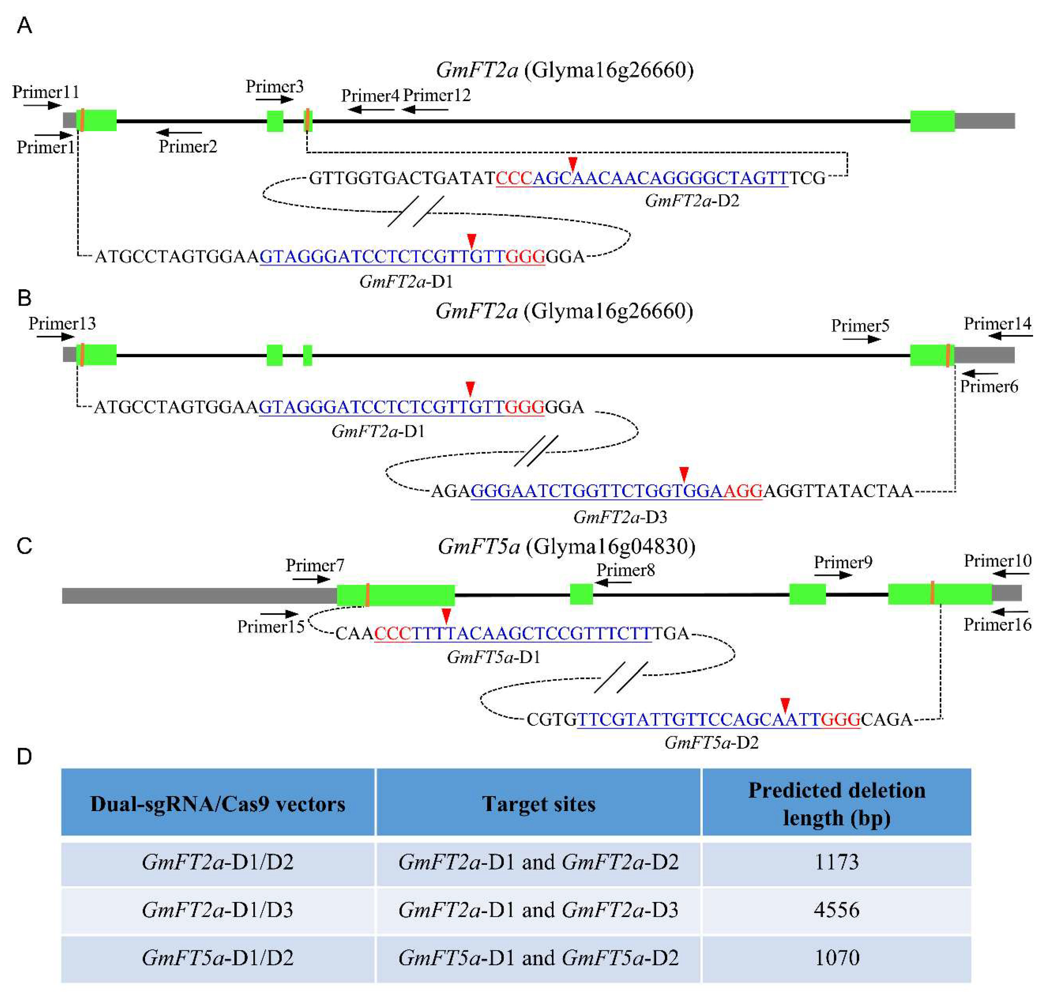 Ijms 19 03835 g001 Ijms 19 03835 g001