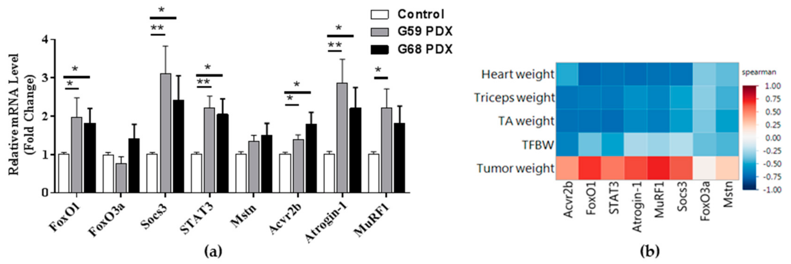 Ijms 19 03836 g002 Ijms 19 03836 g002