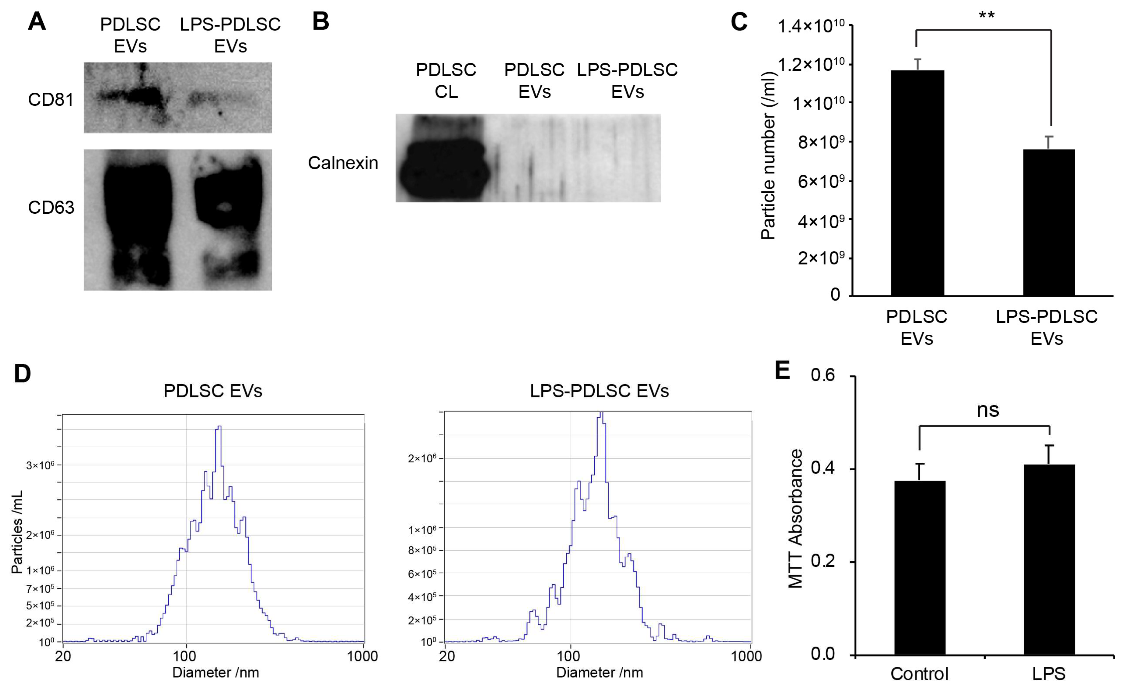 Ijms 19 03843 g006