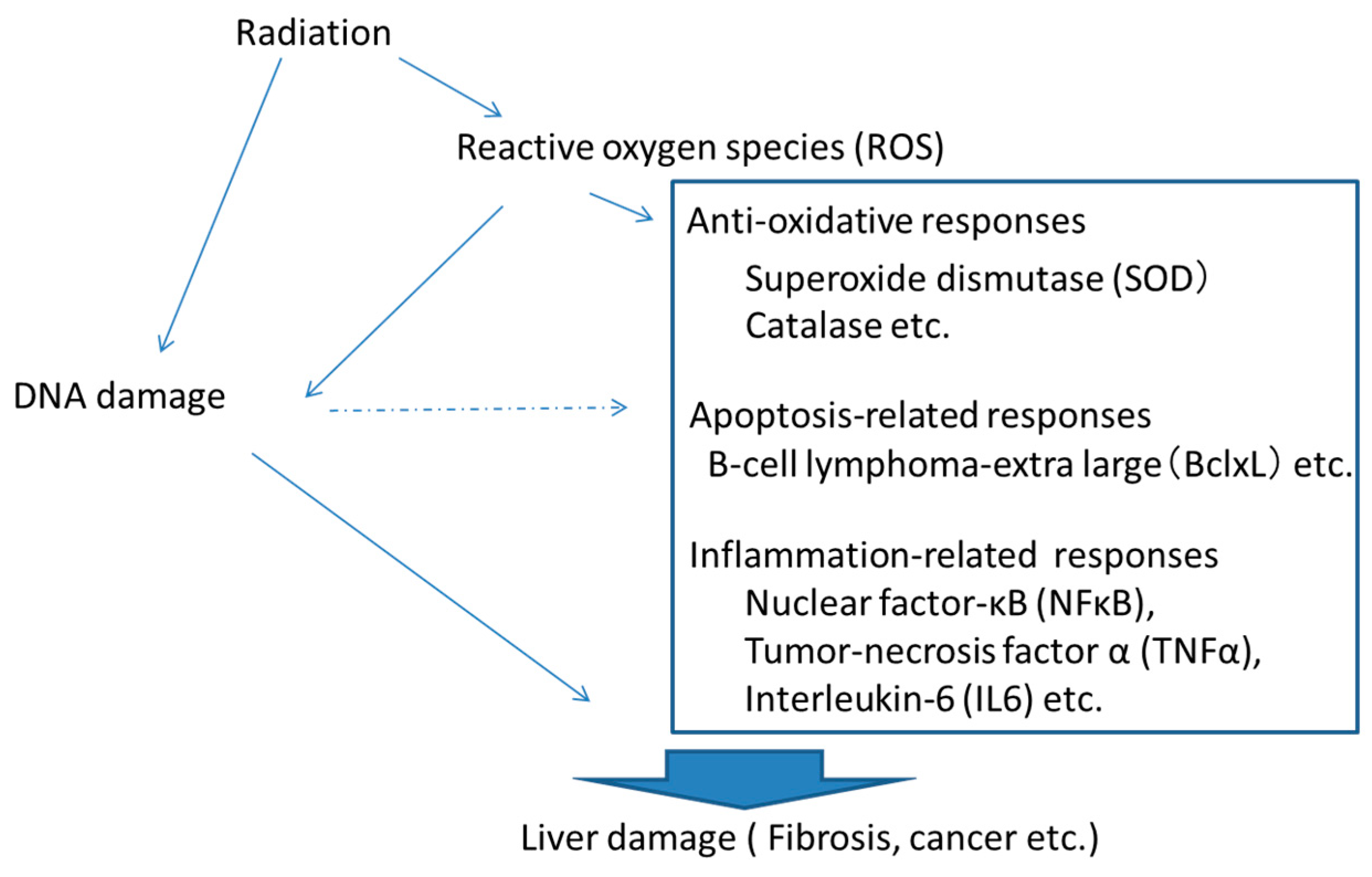 Ijms 19 03855 g001 Ijms 19 03855 g001