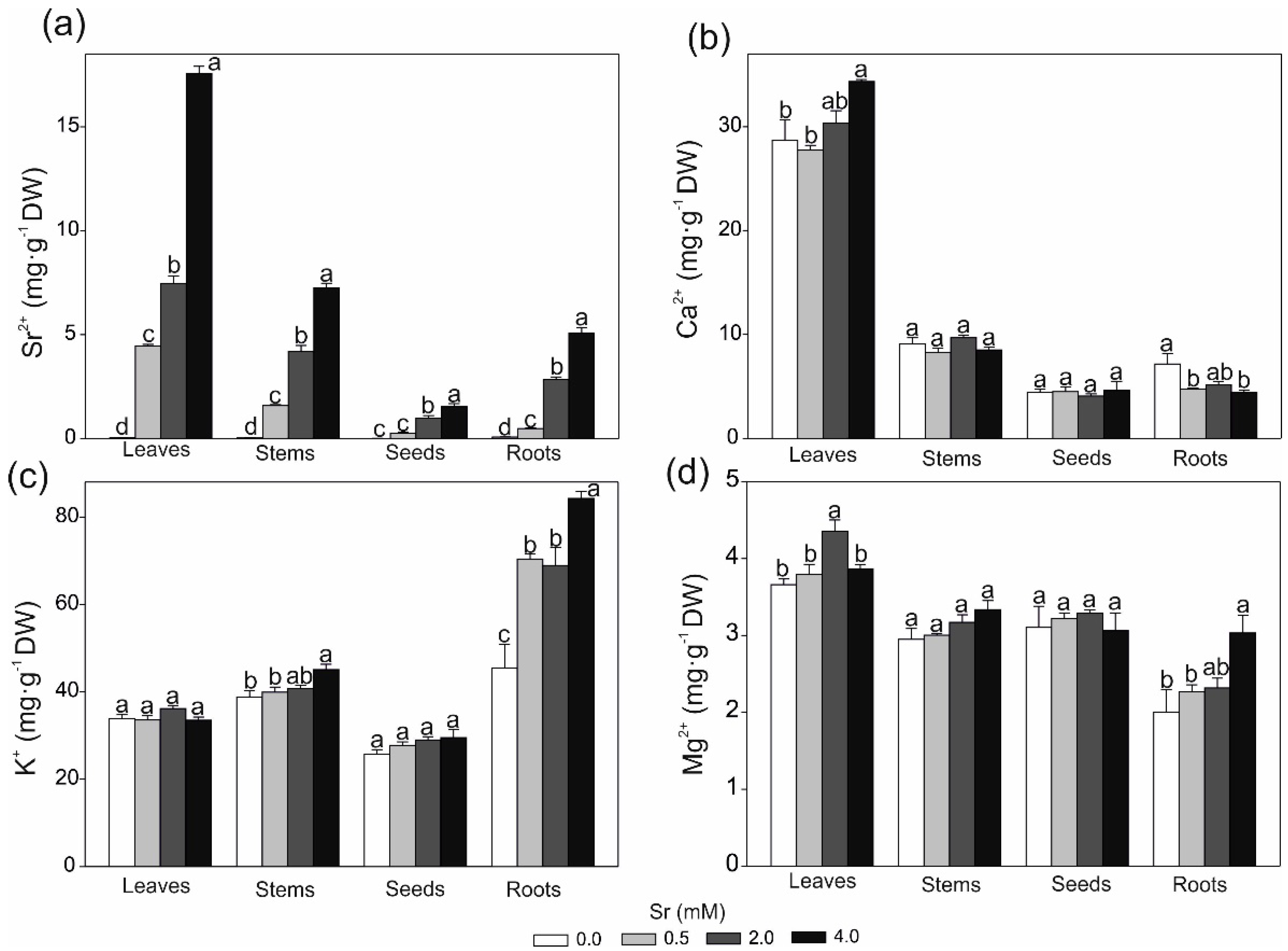 Ijms 19 03864 g003 Ijms 19 03864 g003