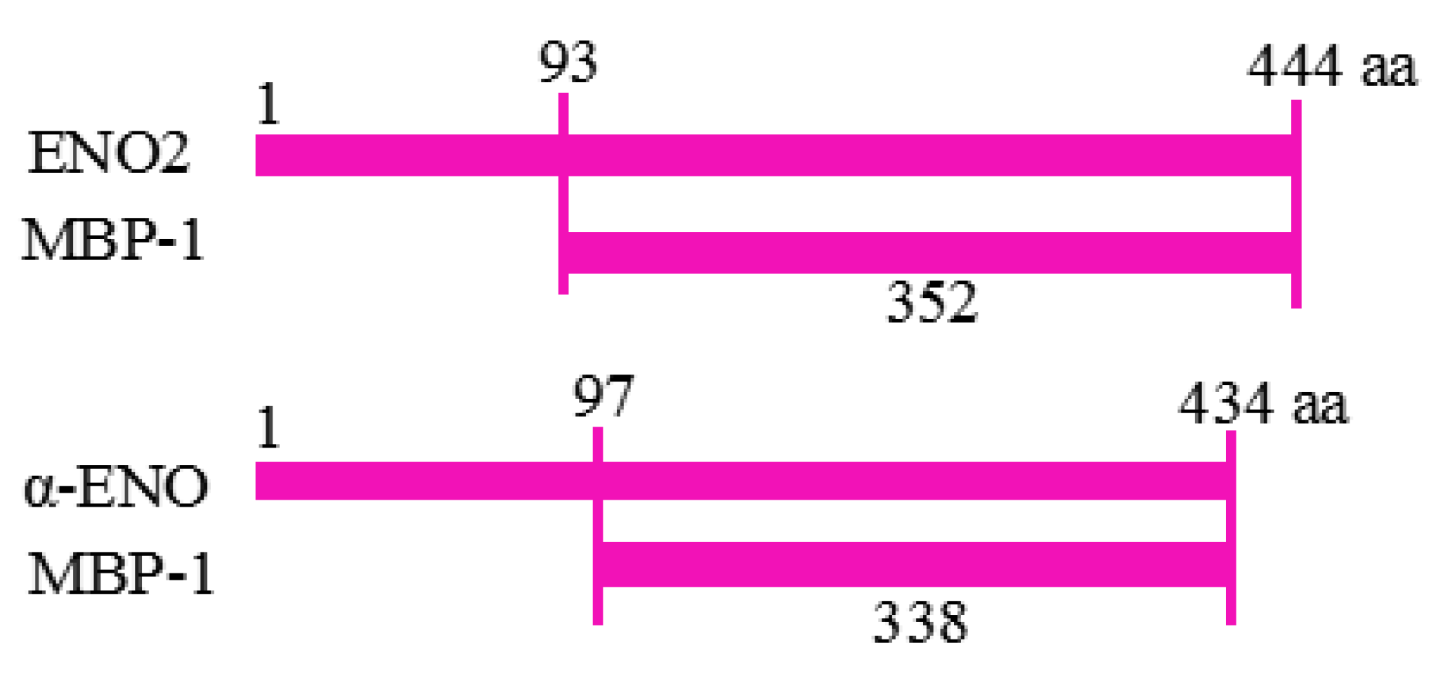 Ijms 19 03868 g001 Ijms 19 03868 g001