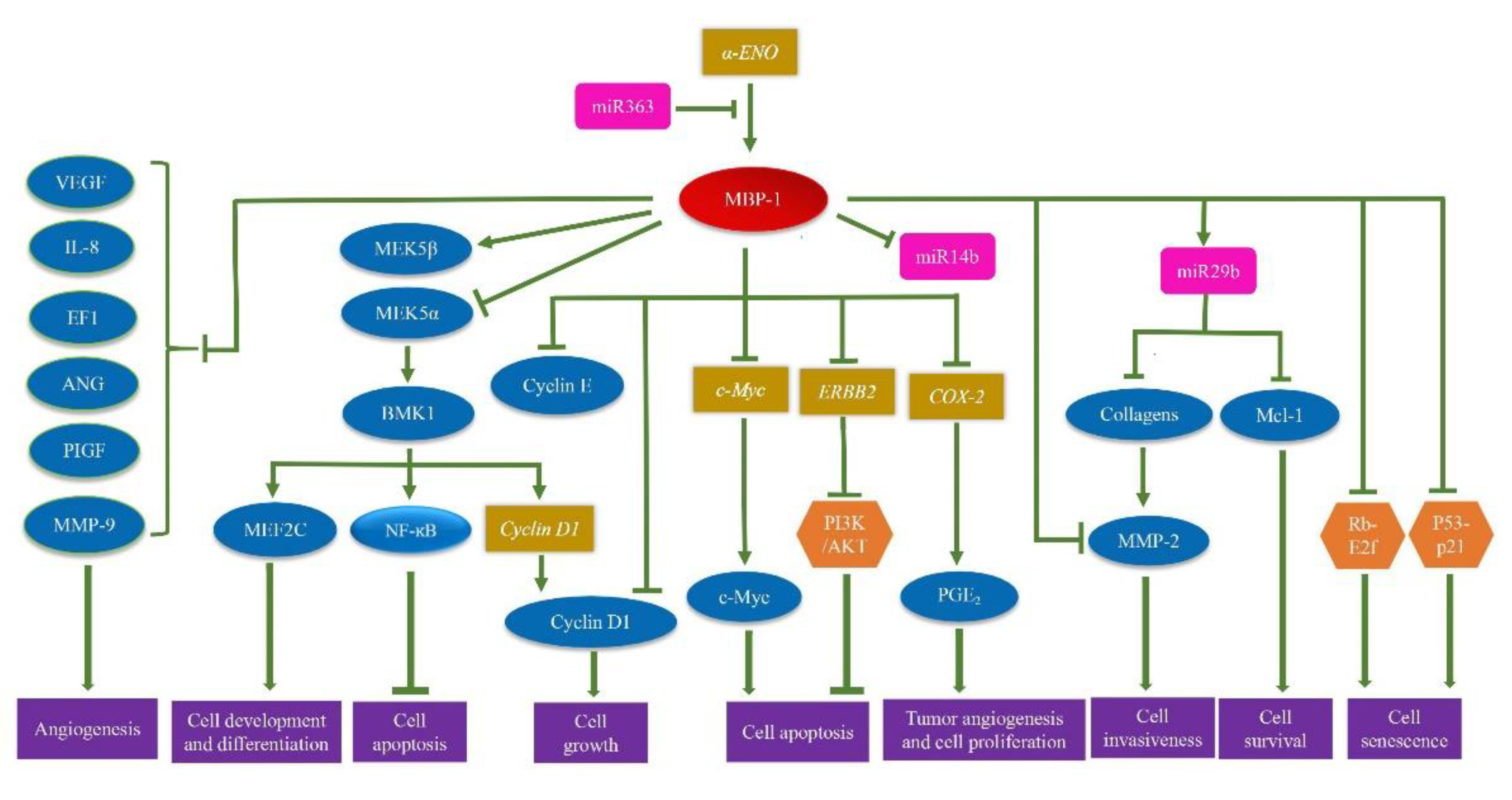 Ijms 19 03868 g003 Ijms 19 03868 g003