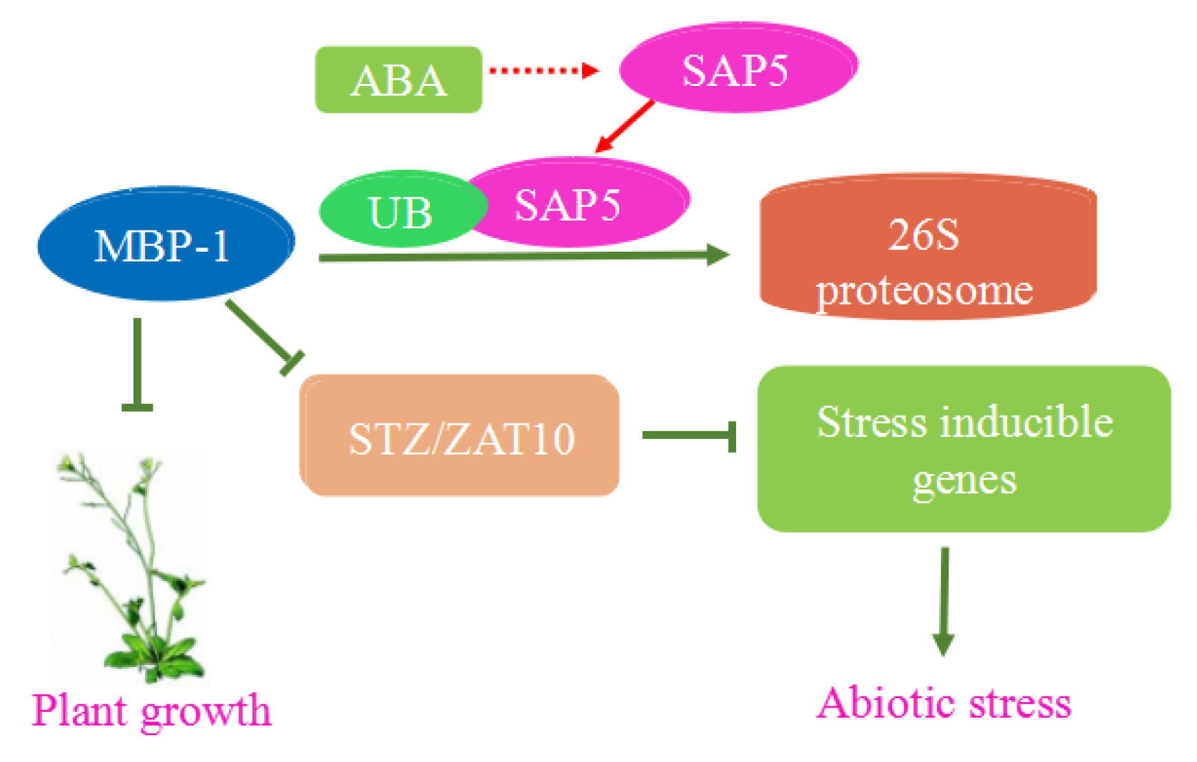 Ijms 19 03868 g005 Ijms 19 03868 g005