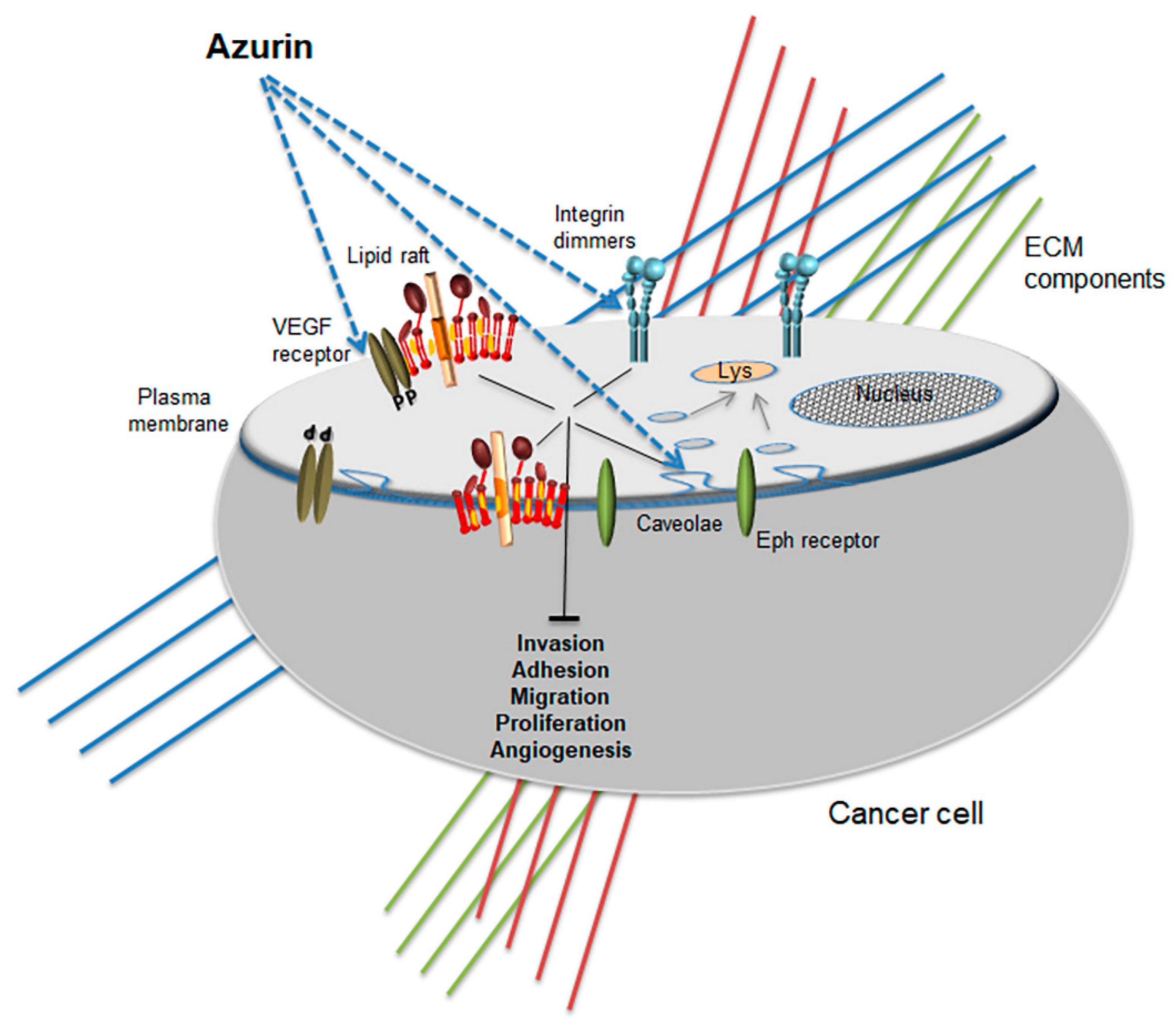 Ijms 19 03871 g002 Ijms 19 03871 g002