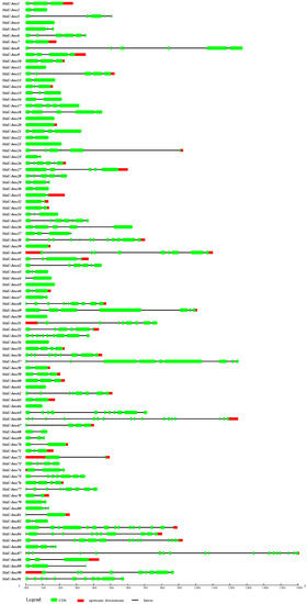 Ijms Free Full Text Genome Wide Identification And Analysis Of U Box Ubiquitin Protein Ligase Gene Family In Banana Html Ijms Free Full Text Genome Wide Identification And Analysis Of U Box Ubiquitin Protein Ligase Gene Family In Banana Html