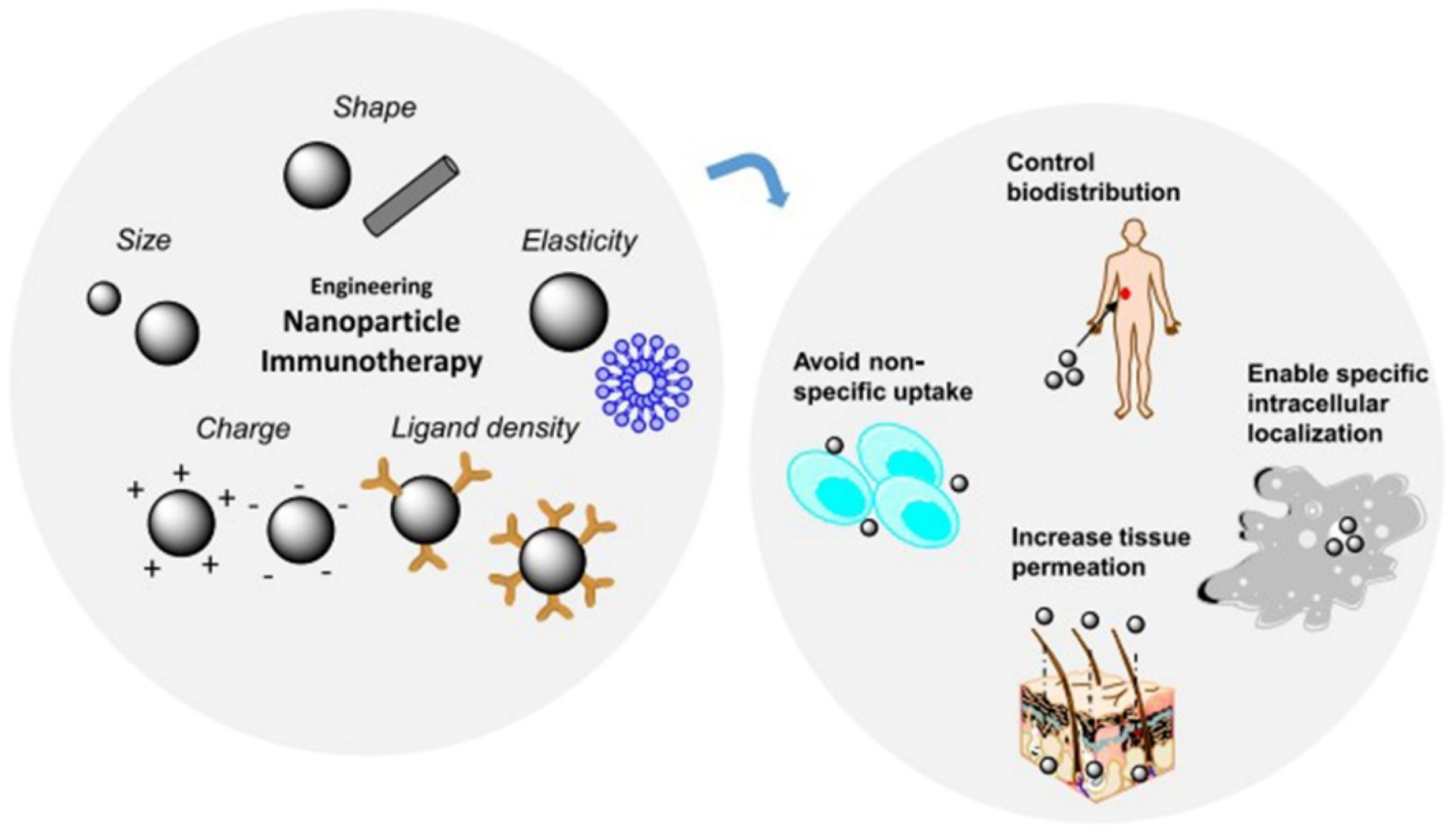 Bioactive Nanoparticles for Cancer Immunotherapy