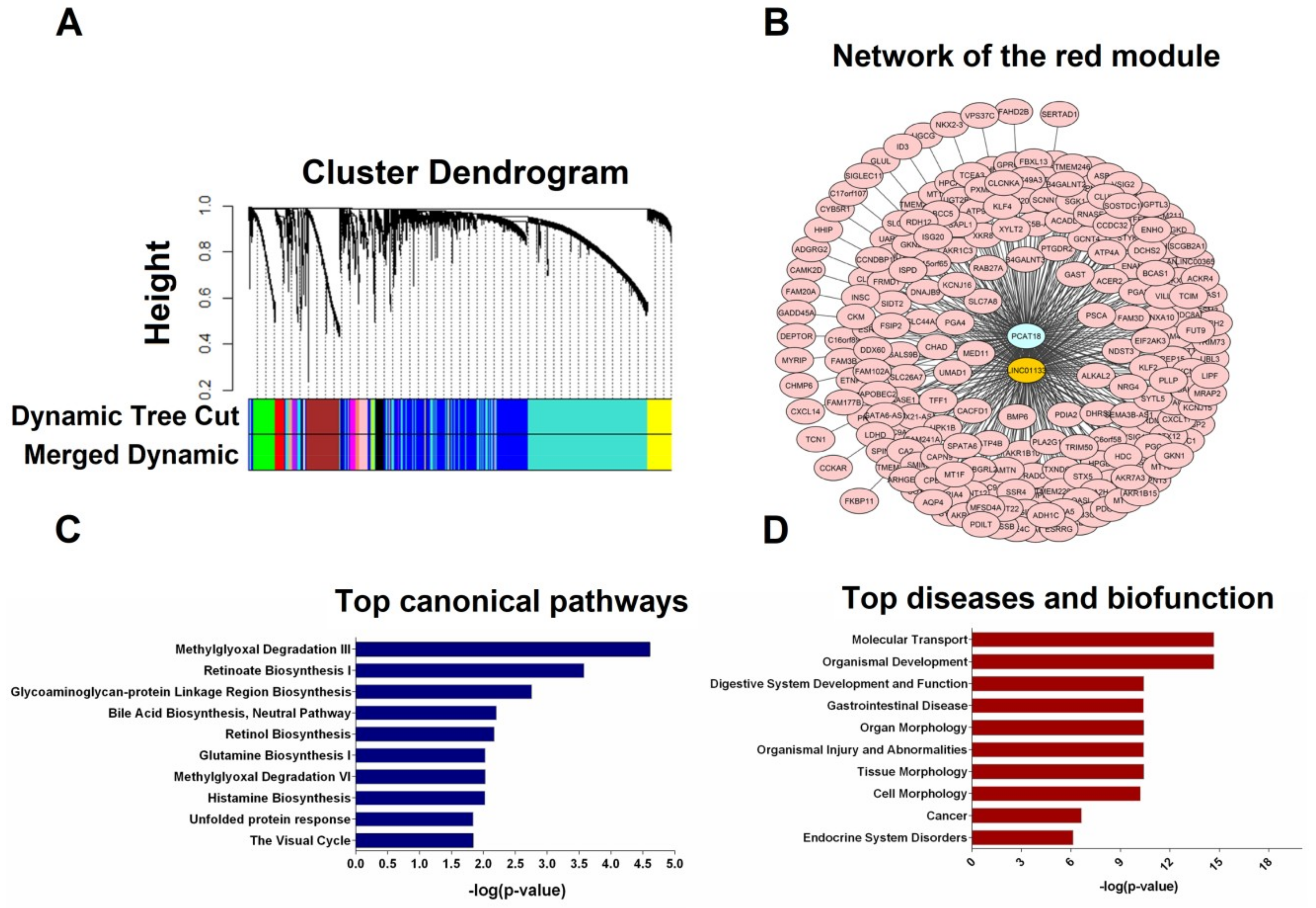 Tissue-Specific Down-Regulation of the Long Non-Coding RNAs