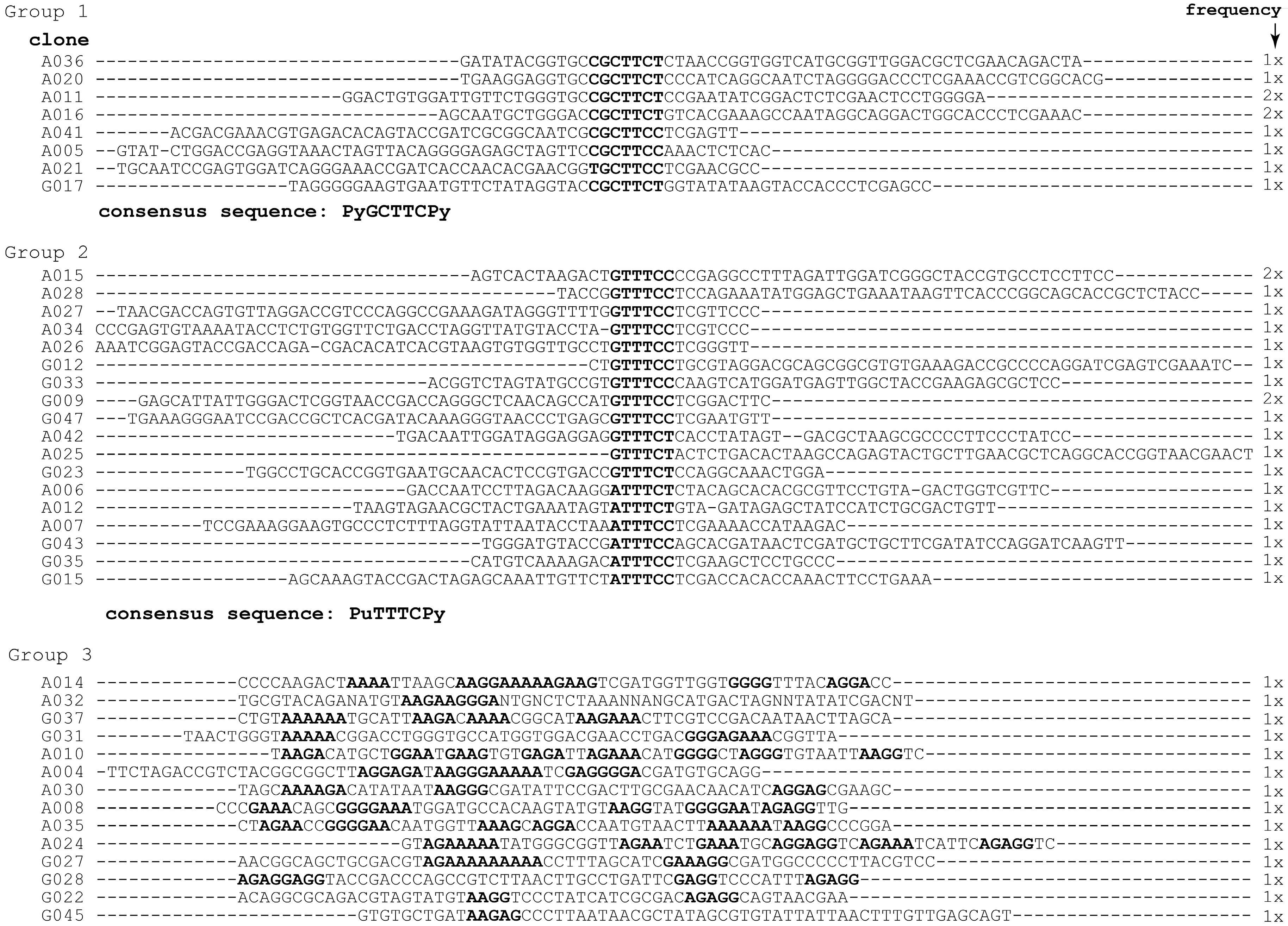 Ijms 19 03883 g001 Ijms 19 03883 g001