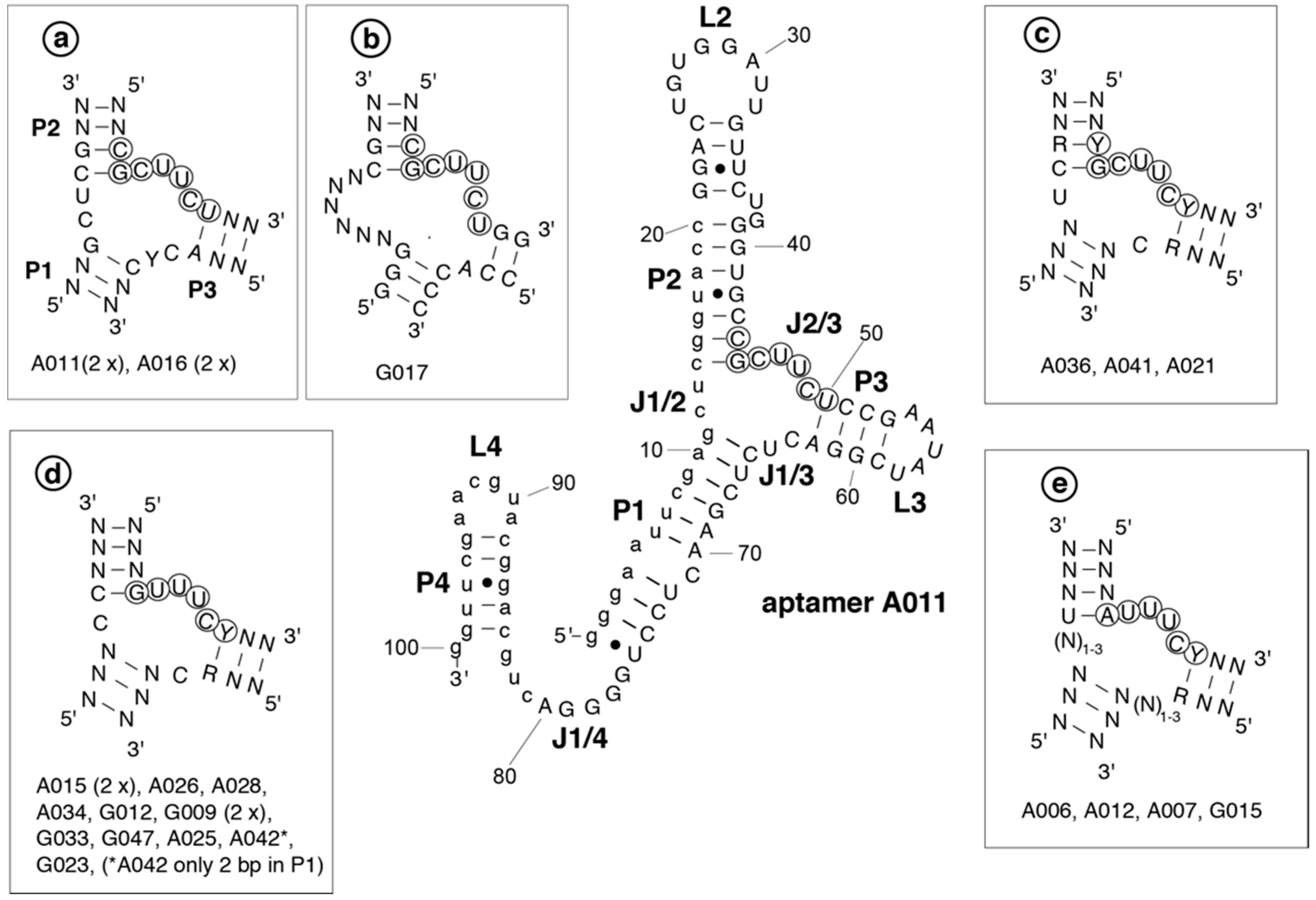 Ijms 19 03883 g002 Ijms 19 03883 g002