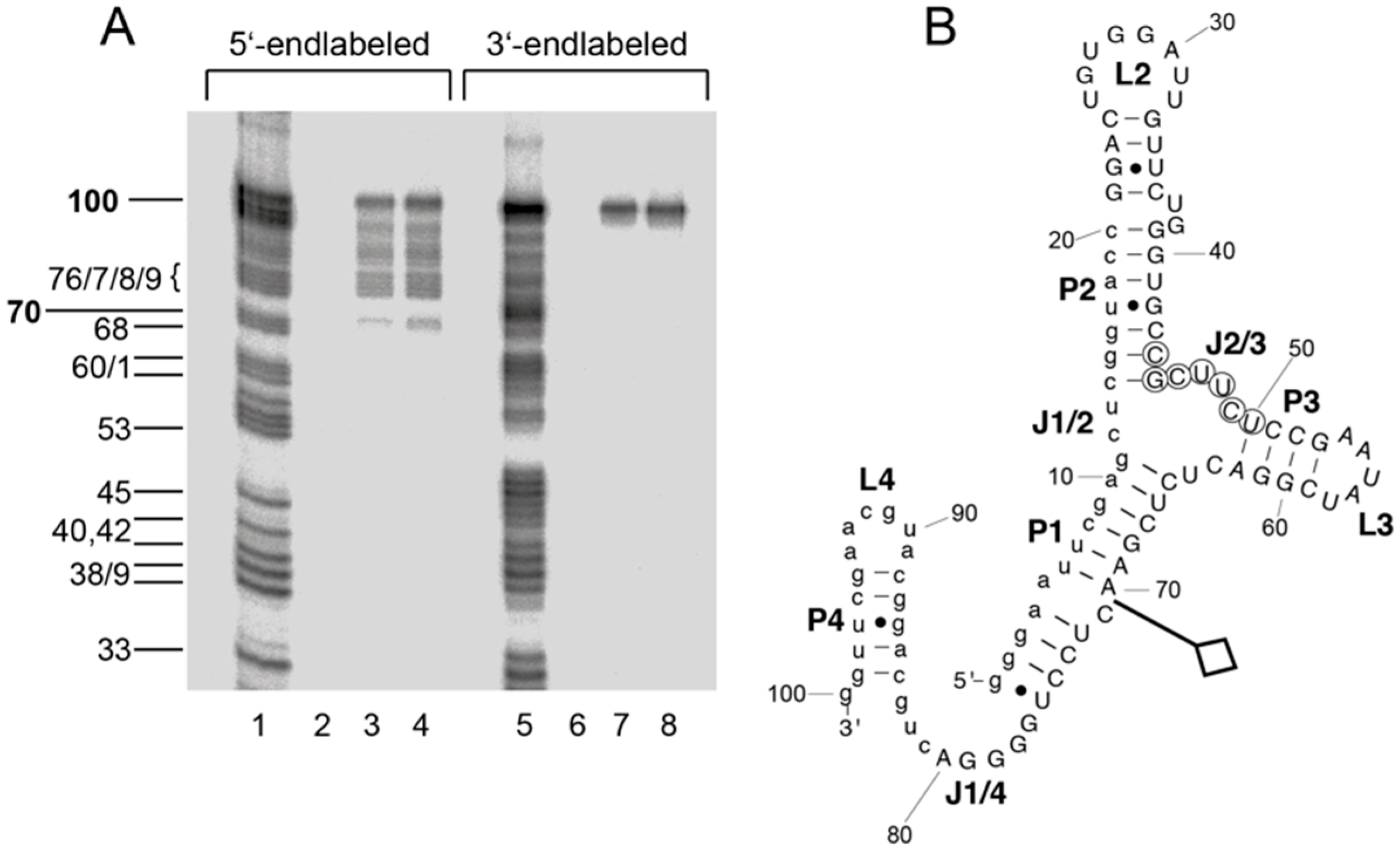 Ijms 19 03883 g004 Ijms 19 03883 g004