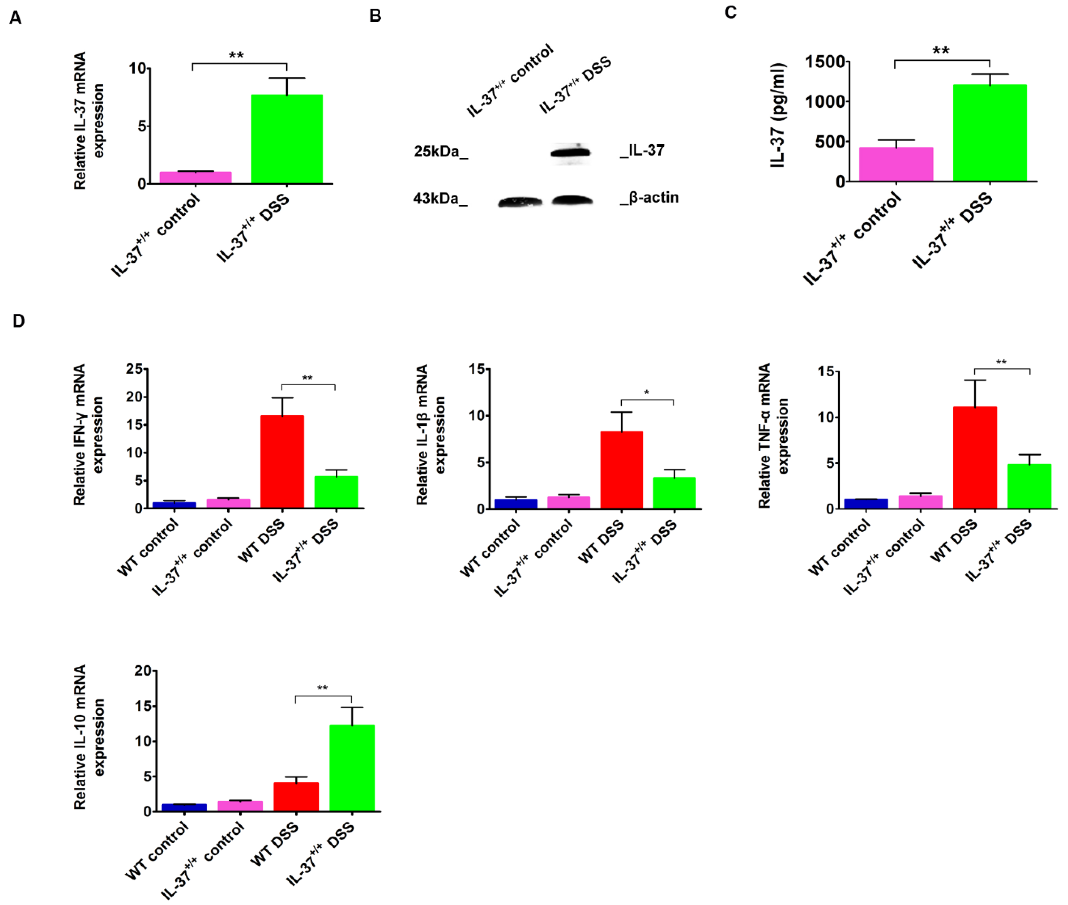 Ijms 19 03884 g002 Ijms 19 03884 g002