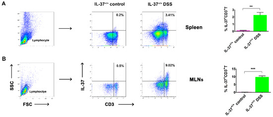 Anti-Inflammatory Effect of IL-37-Producing T-Cell Population in