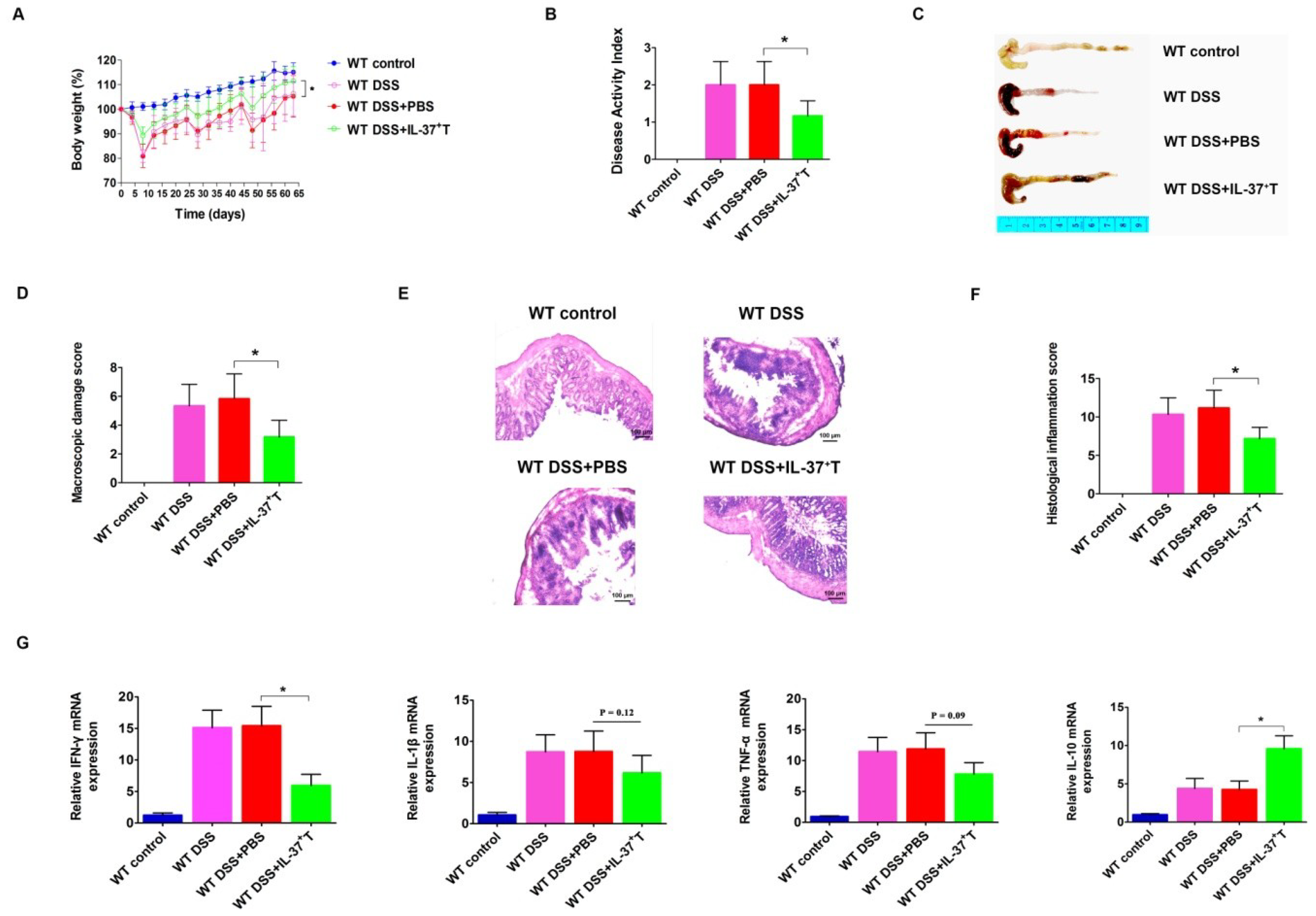 Ijms 19 03884 g004 Ijms 19 03884 g004