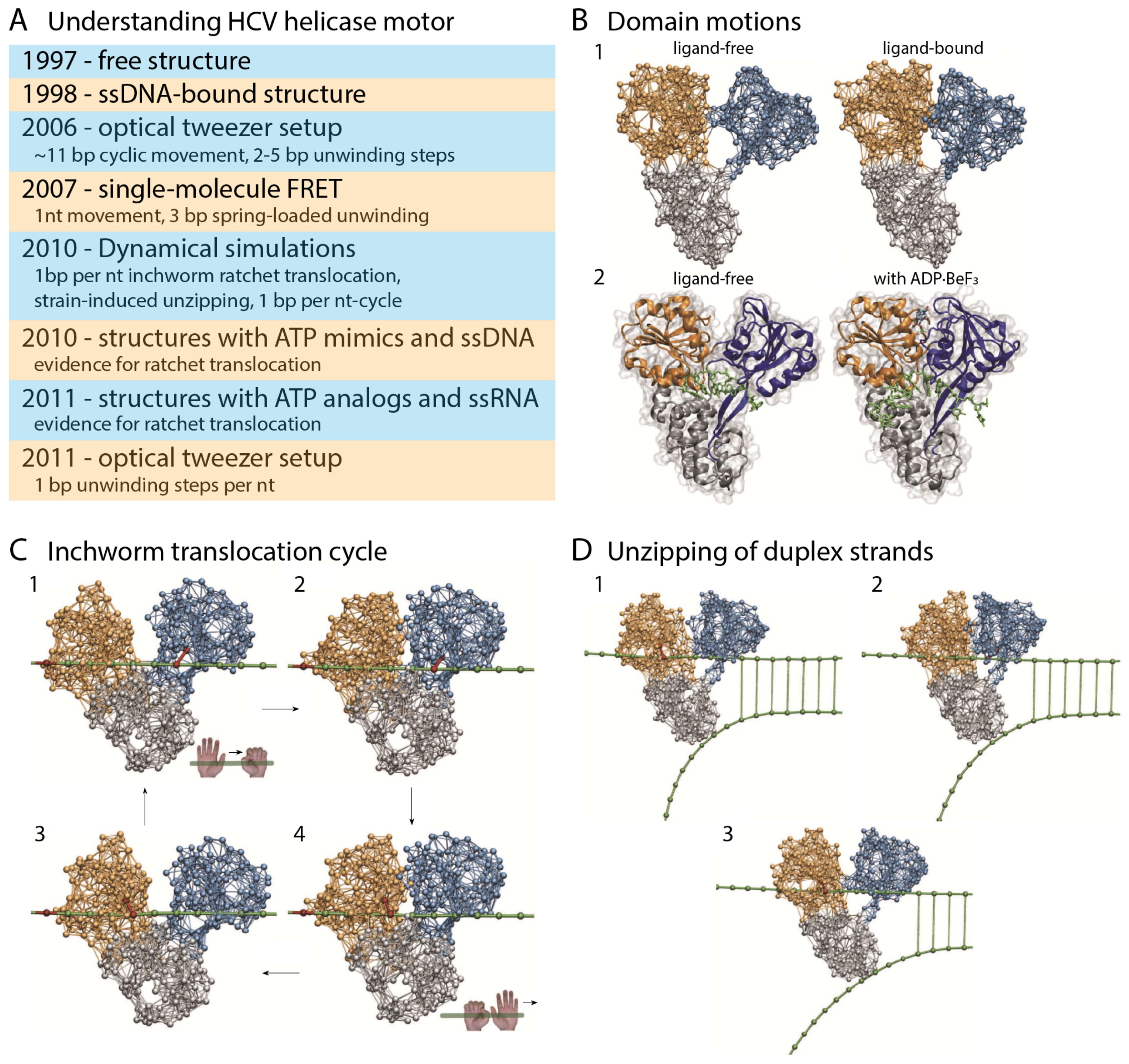 Ijms 19 03899 g004 Ijms 19 03899 g004