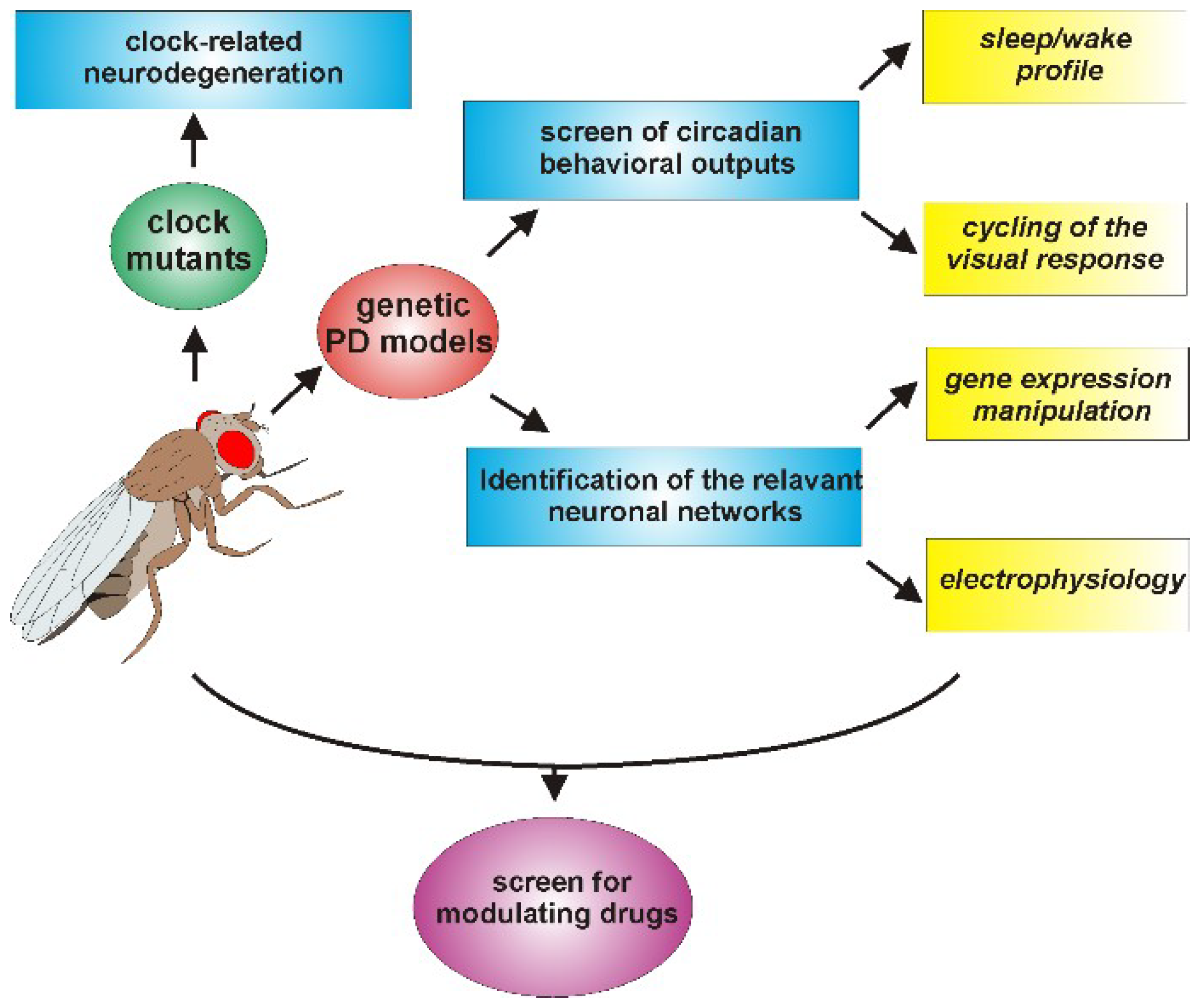 Ijms 19 03911 g003 Ijms 19 03911 g003