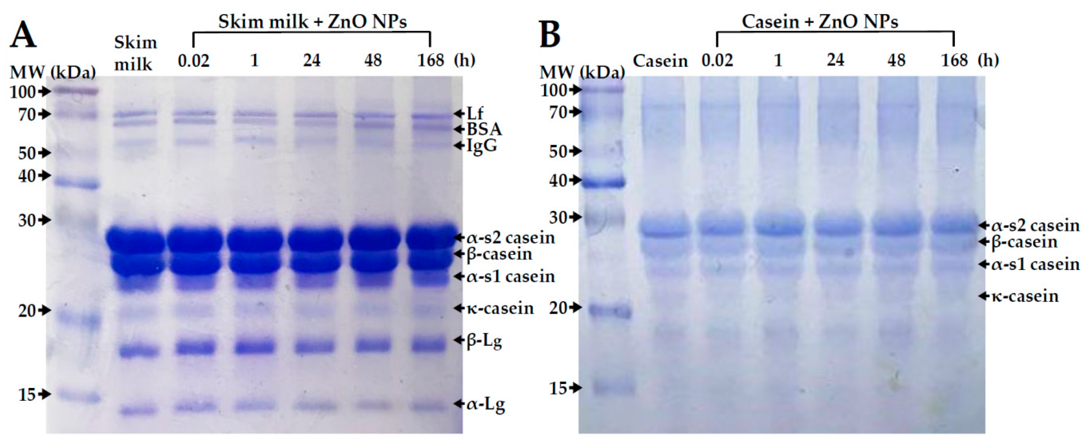 Ijms 19 03926 g004 Ijms 19 03926 g004