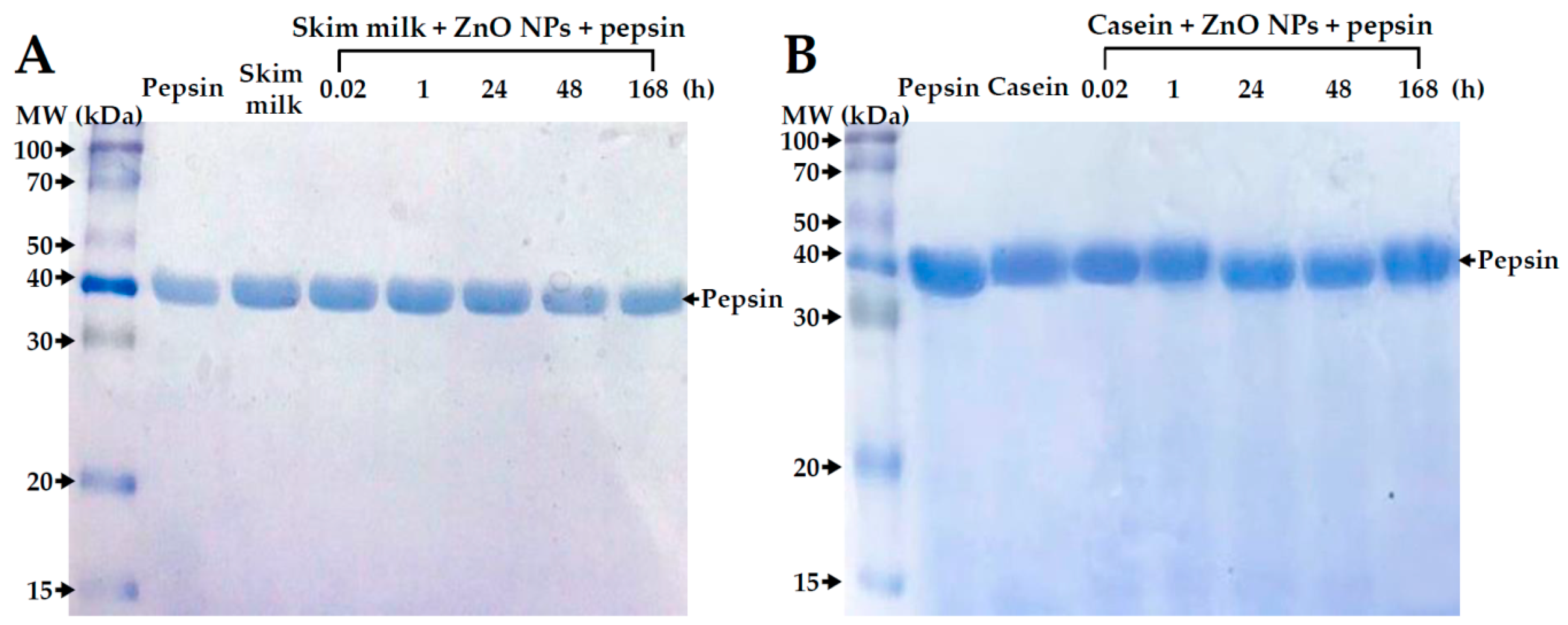 Ijms 19 03926 g009 Ijms 19 03926 g009