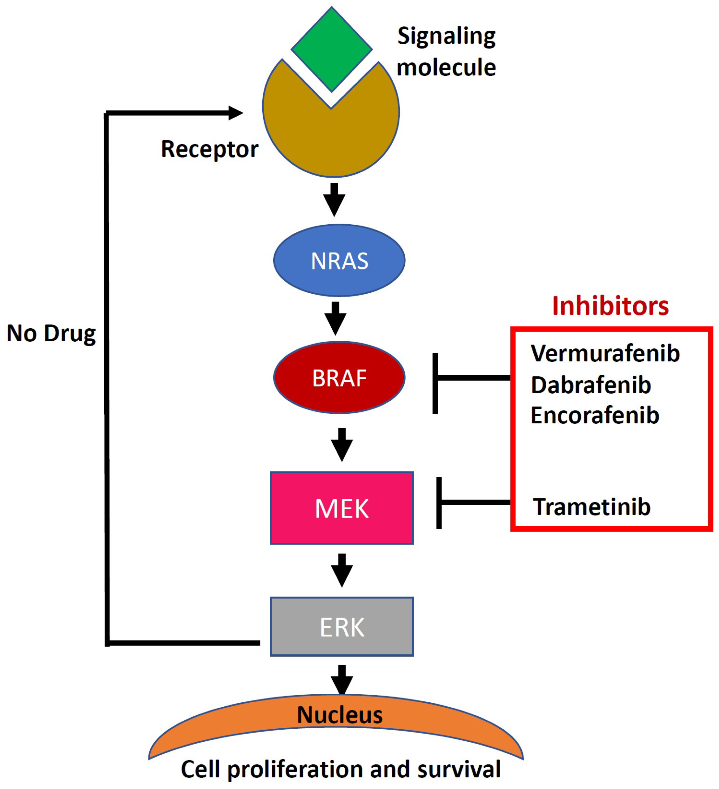 Ijms 19 03929 g001 Ijms 19 03929 g001
