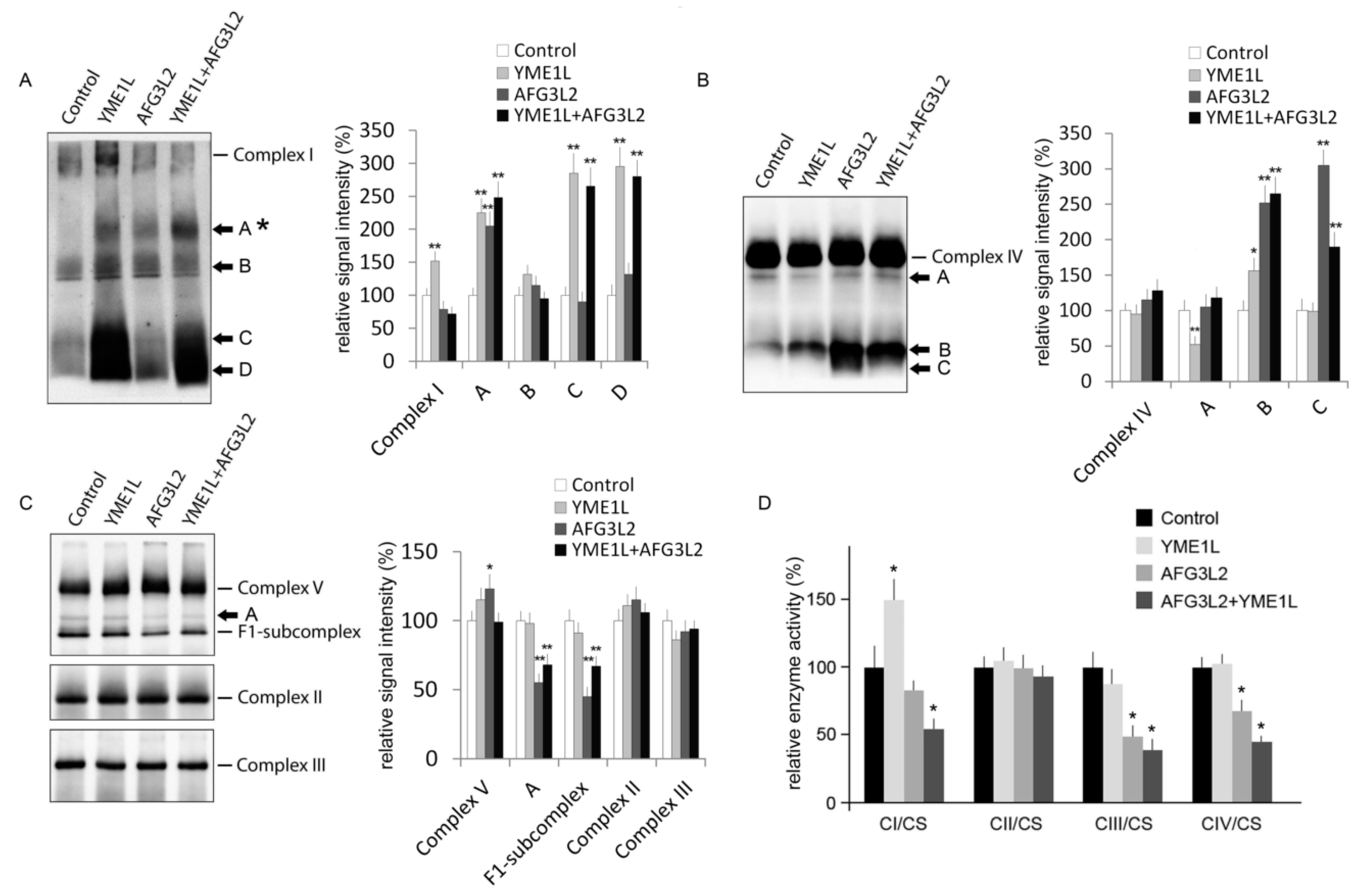 Ijms 19 03930 g004 Ijms 19 03930 g004