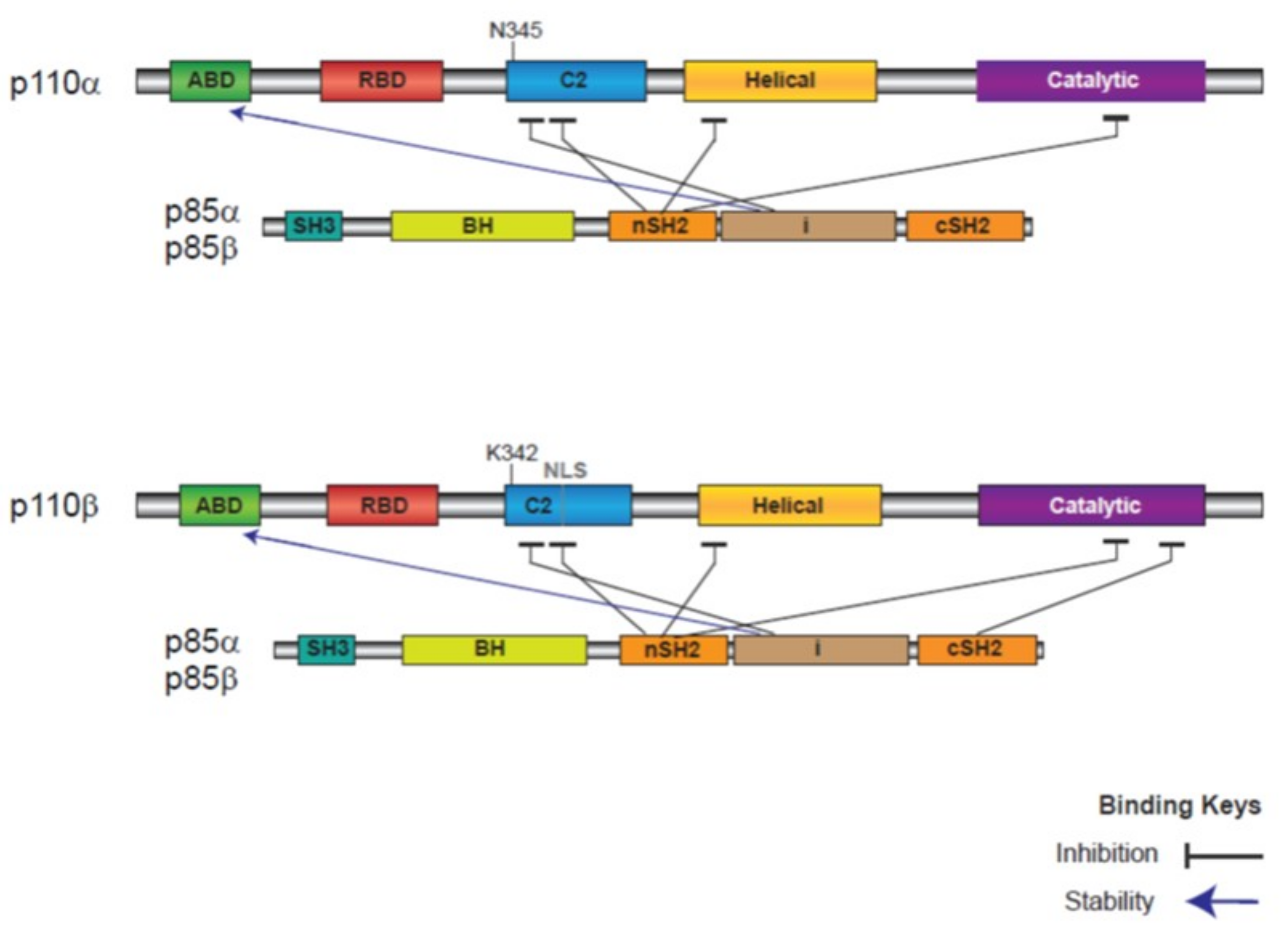 Ijms 19 03931 g003 Ijms 19 03931 g003