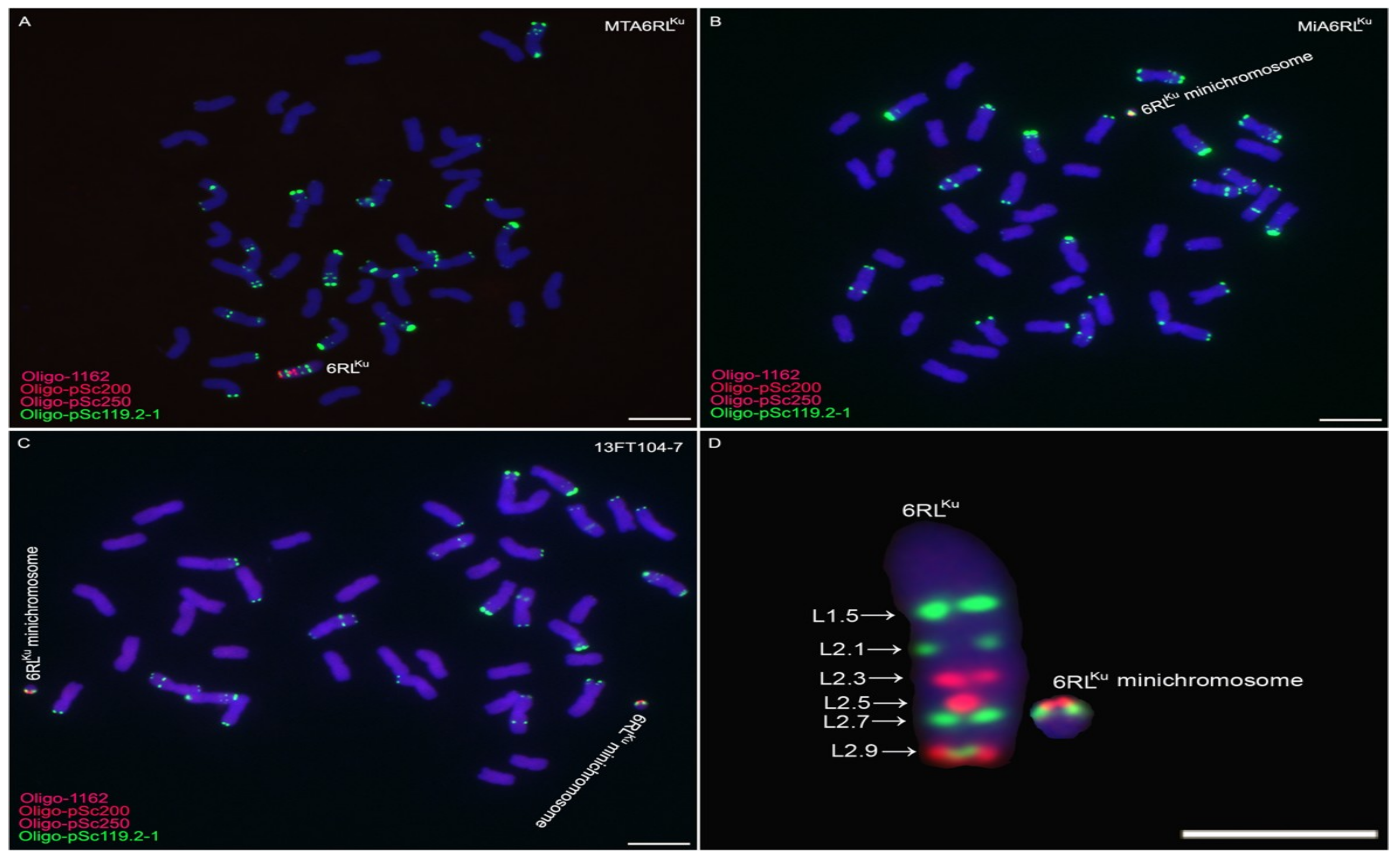 Ijms 19 03933 g001
