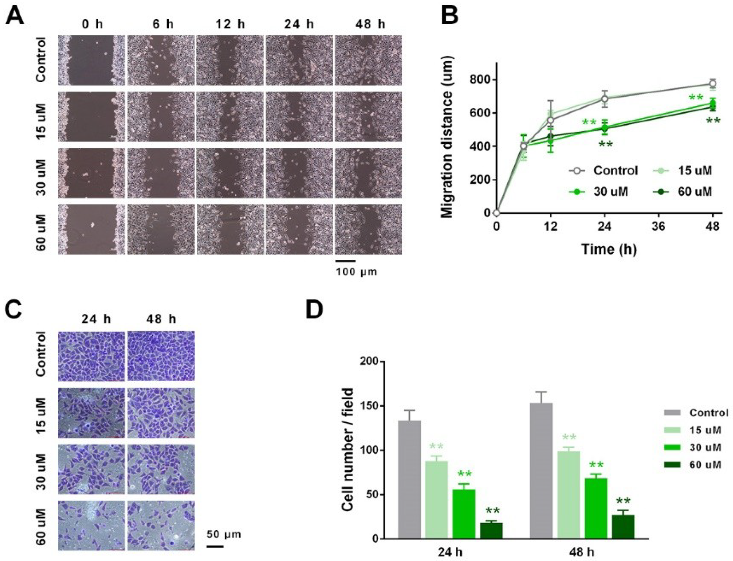 Ijms 19 03935 g003 Ijms 19 03935 g003