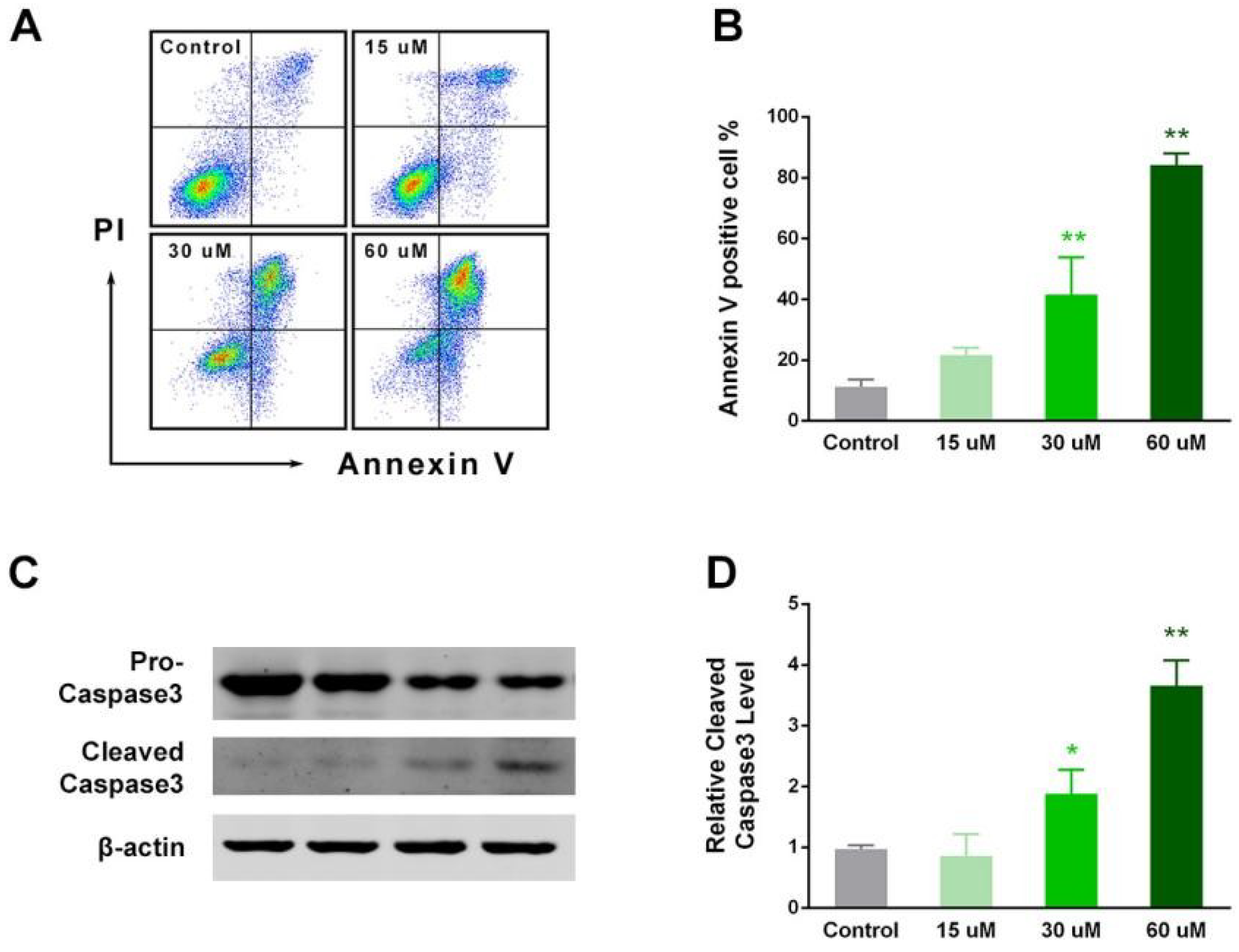 Ijms 19 03935 g004 Ijms 19 03935 g004
