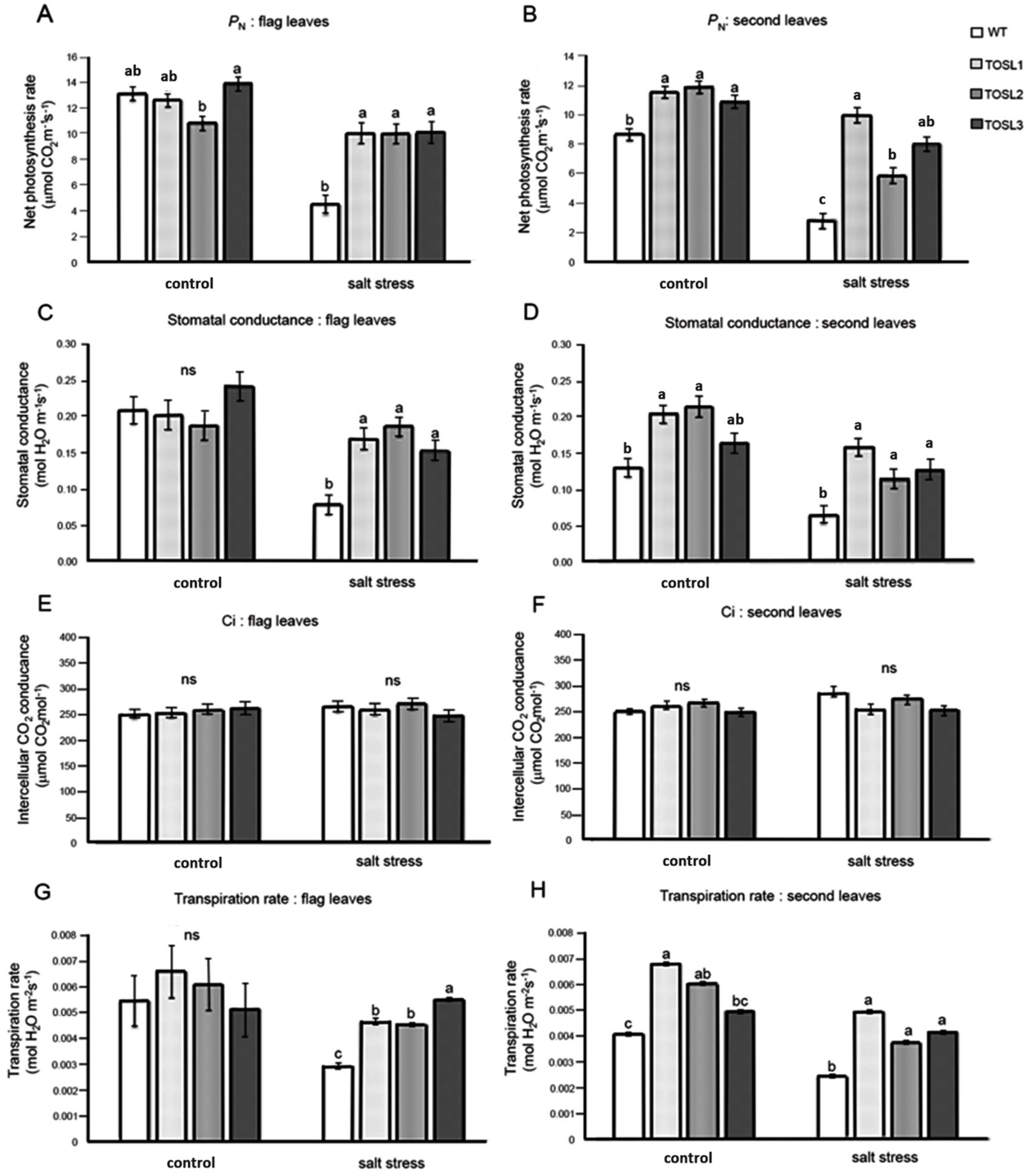 Ijms 19 03936 g002 Ijms 19 03936 g002