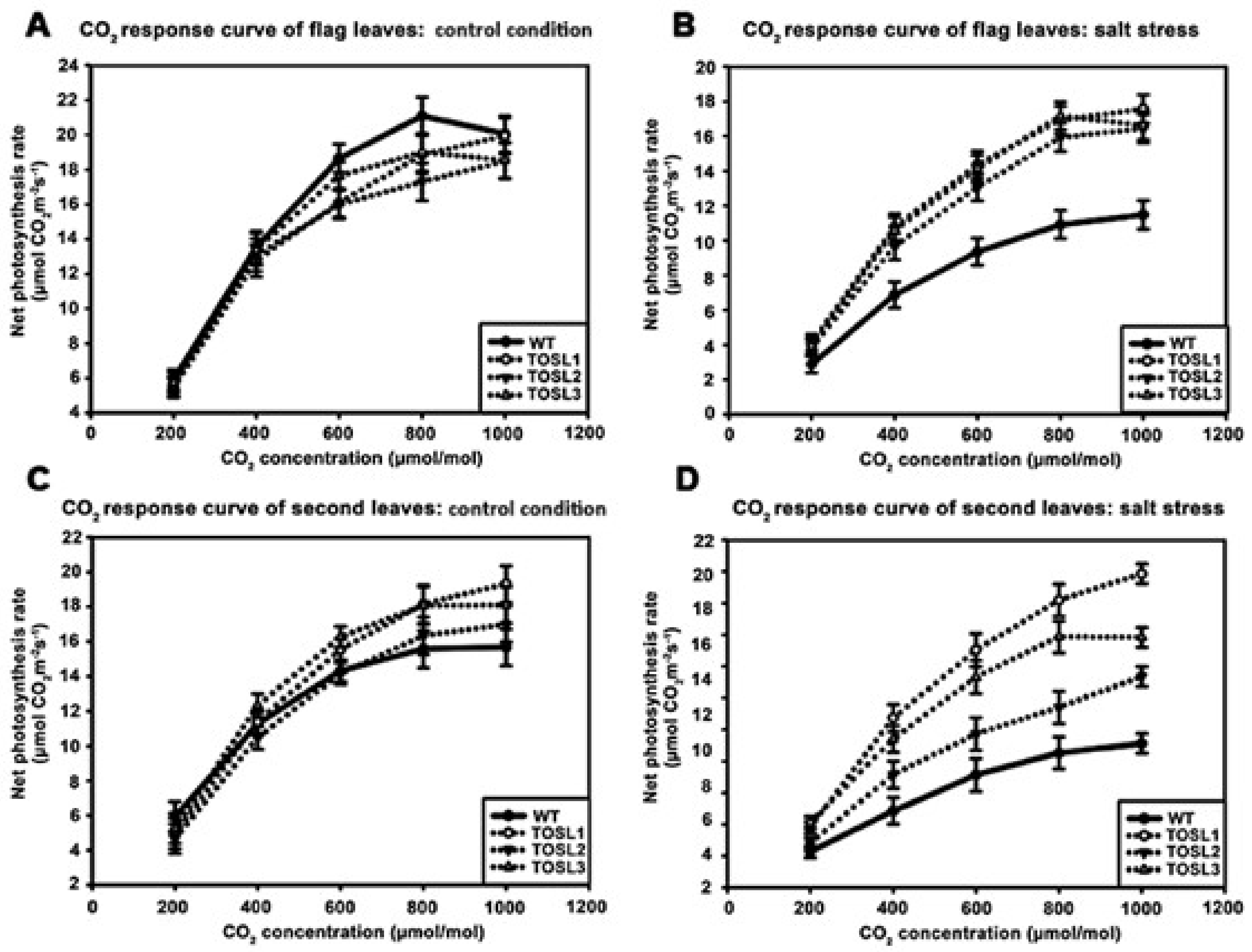 Ijms 19 03936 g004 Ijms 19 03936 g004