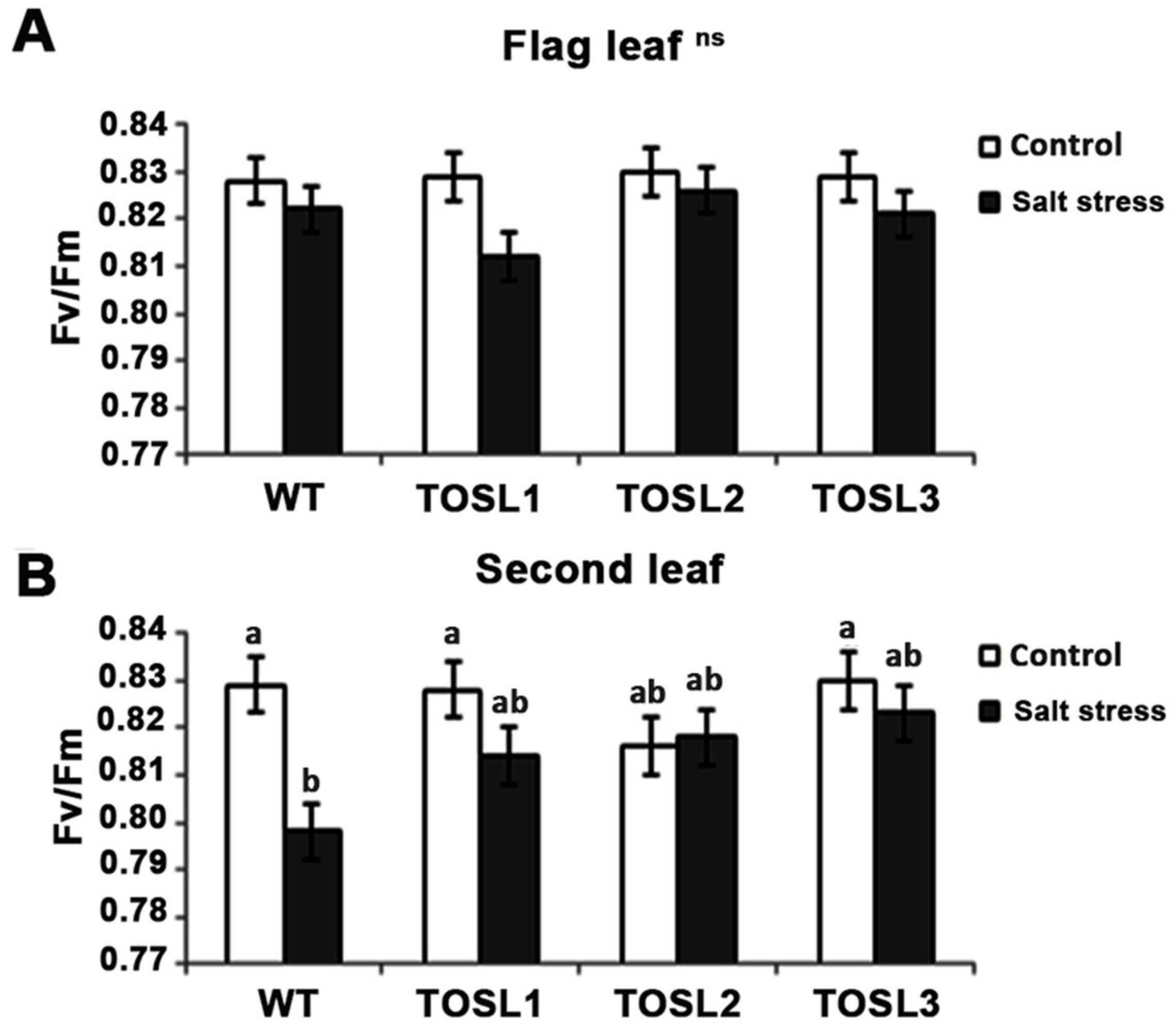 Ijms 19 03936 g005 Ijms 19 03936 g005