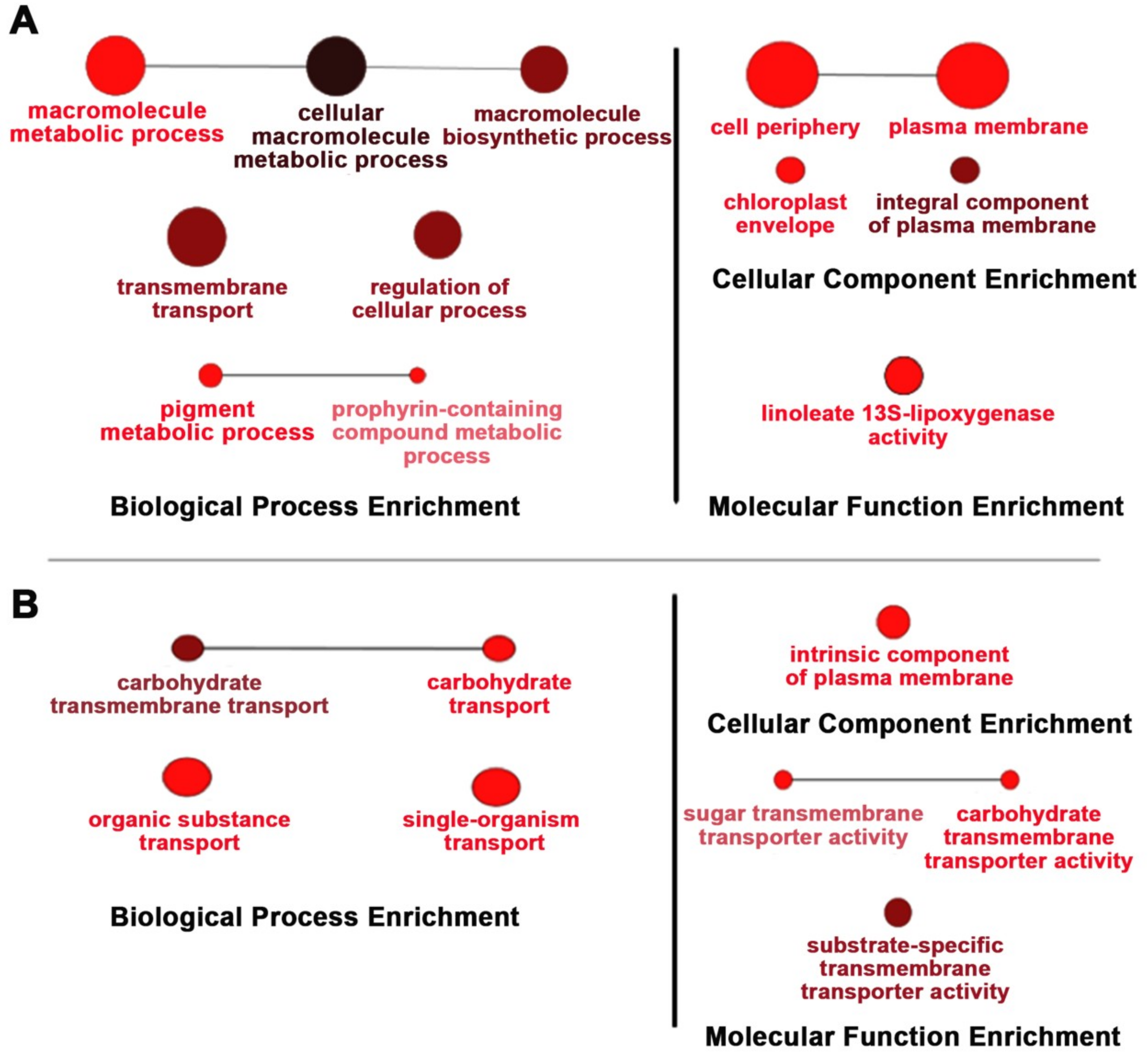Ijms 19 03936 g007 Ijms 19 03936 g007