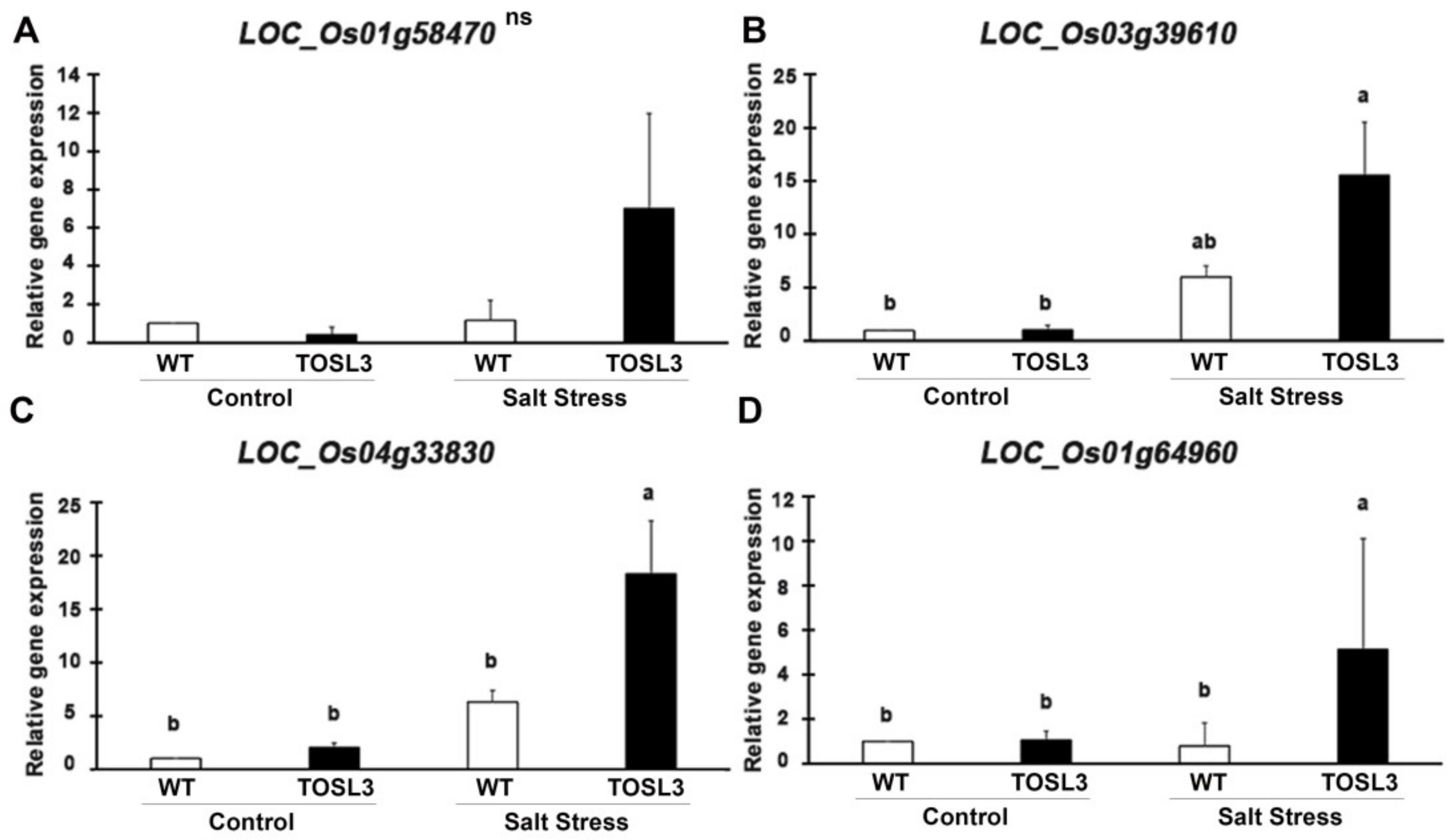 Ijms 19 03936 g010 Ijms 19 03936 g010