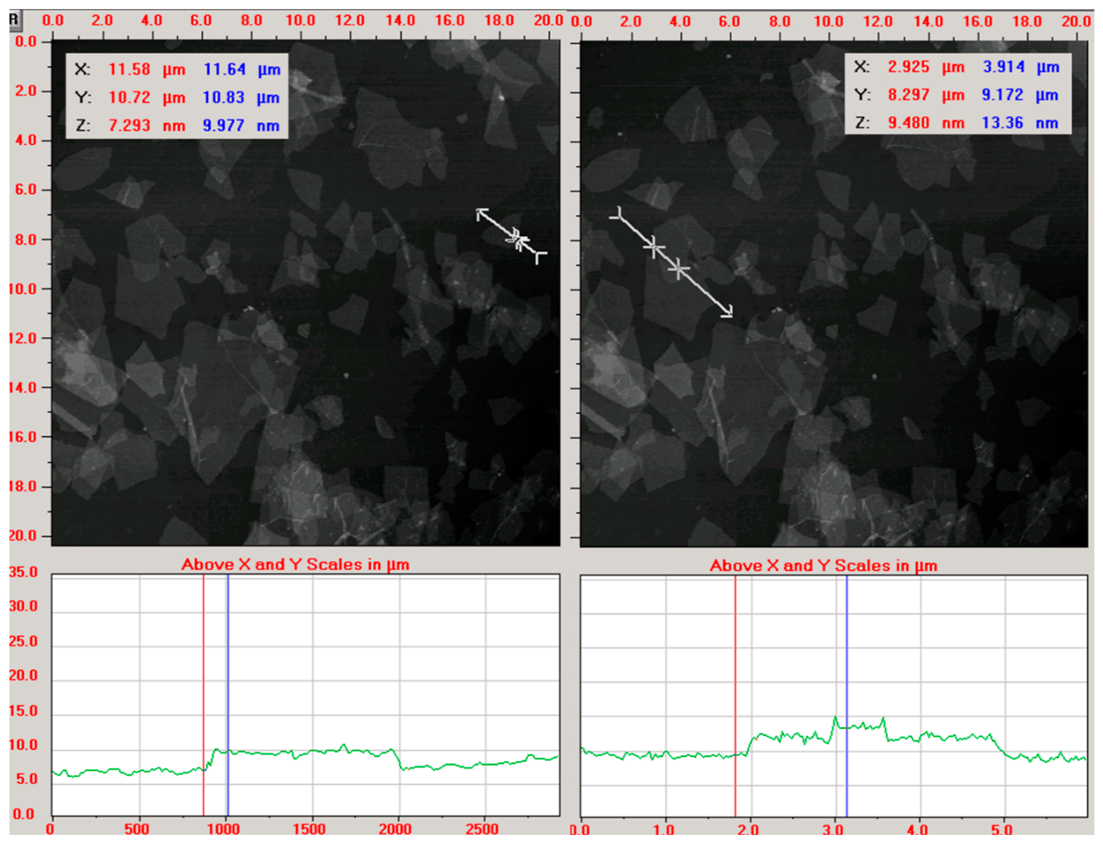 Ijms 19 03939 g002 Ijms 19 03939 g002
