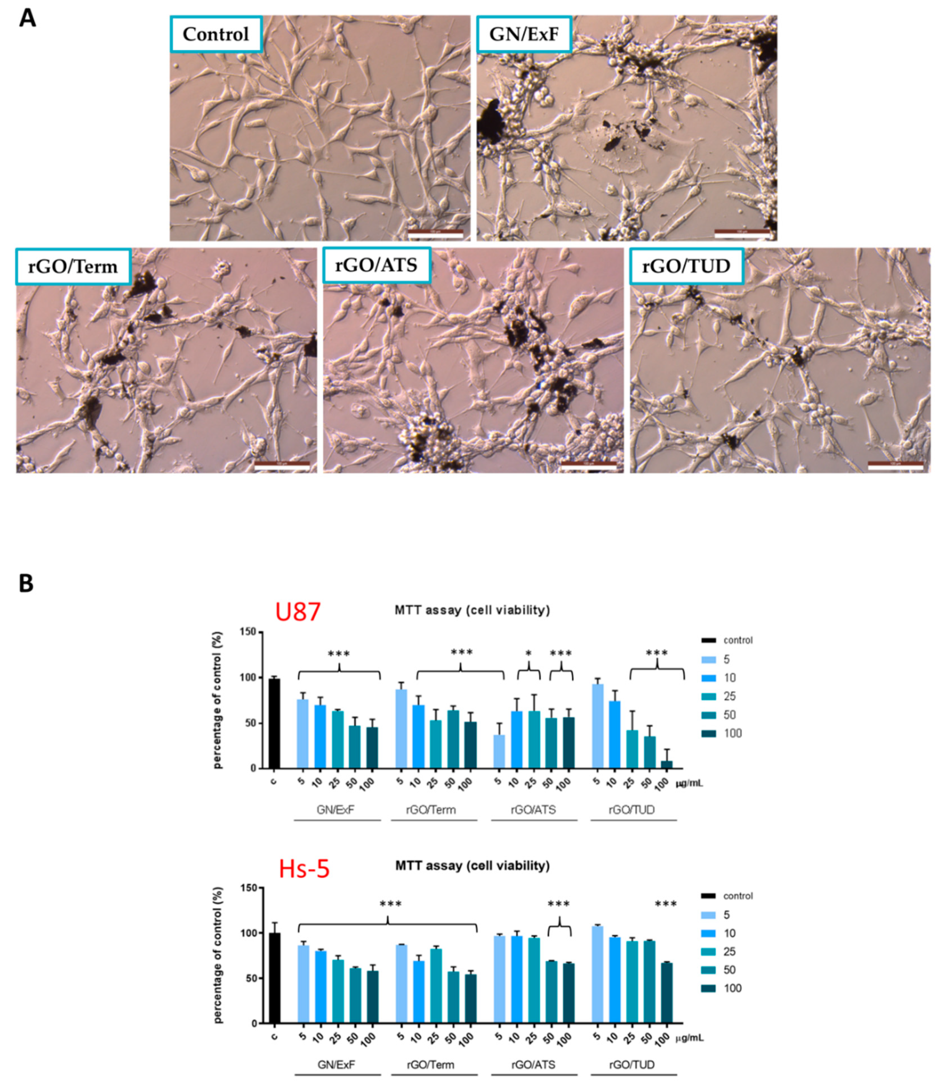 Ijms 19 03939 g003 Ijms 19 03939 g003