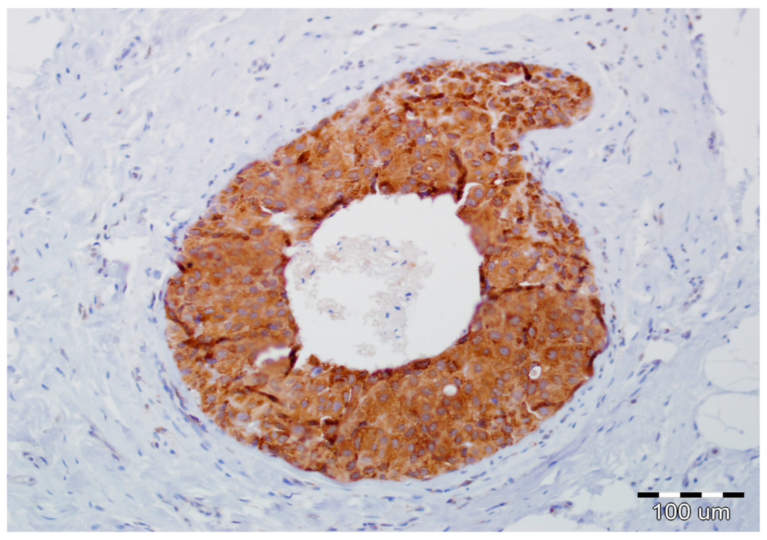 Ijms 19 03941 g003 Ijms 19 03941 g003