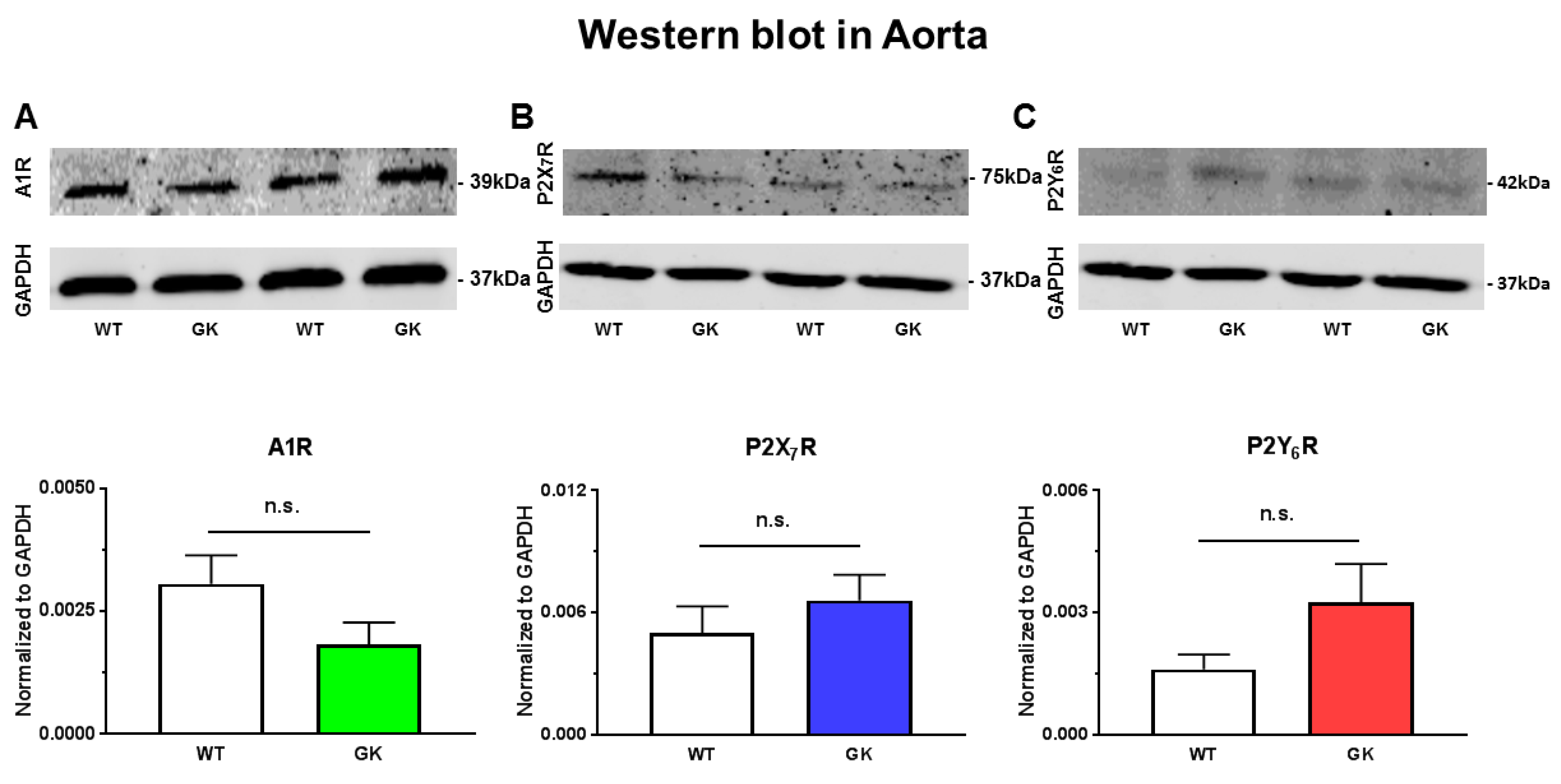 Ijms 19 03942 g008 Ijms 19 03942 g008