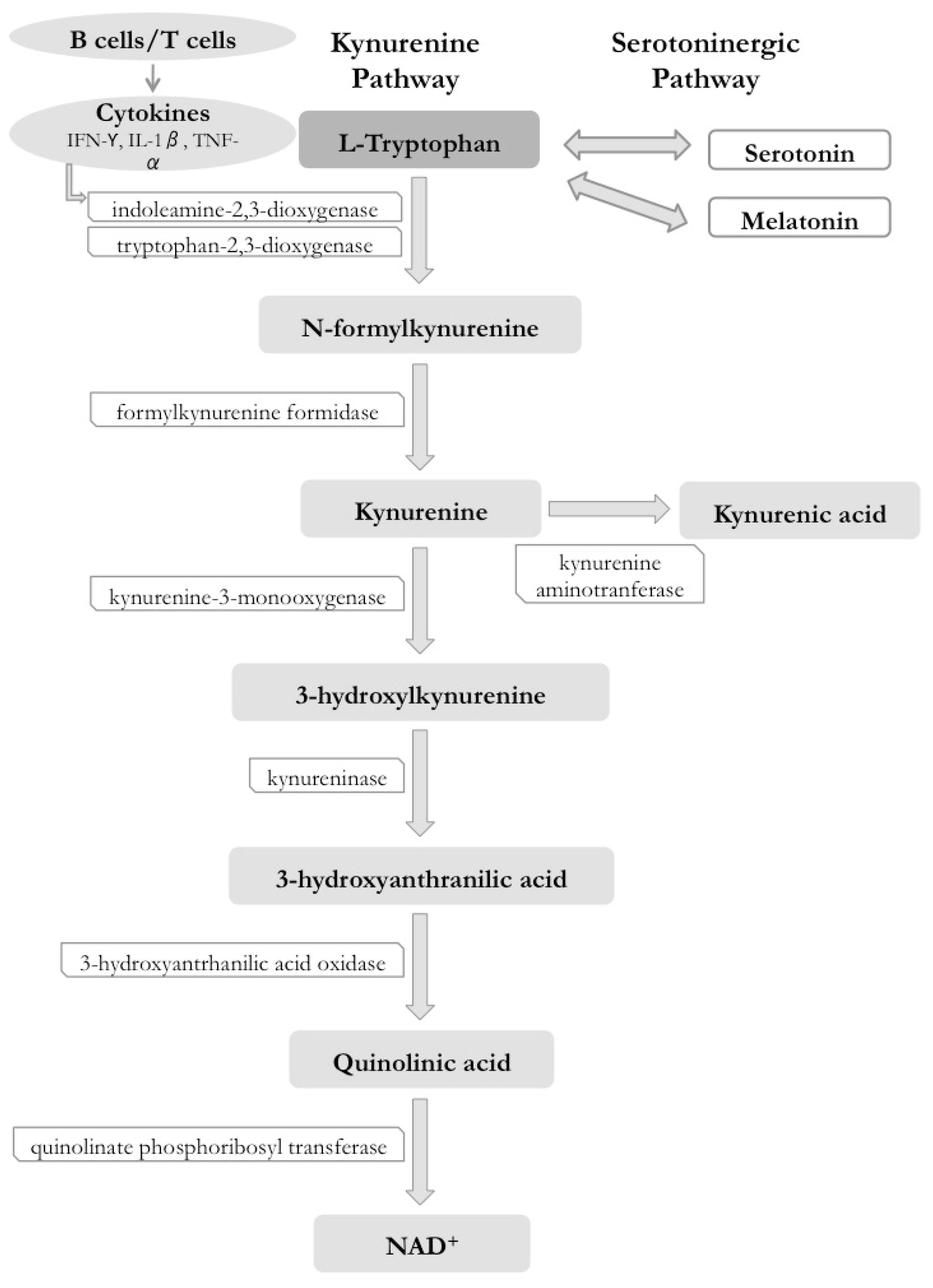 Ijms 19 03953 g003 Ijms 19 03953 g003