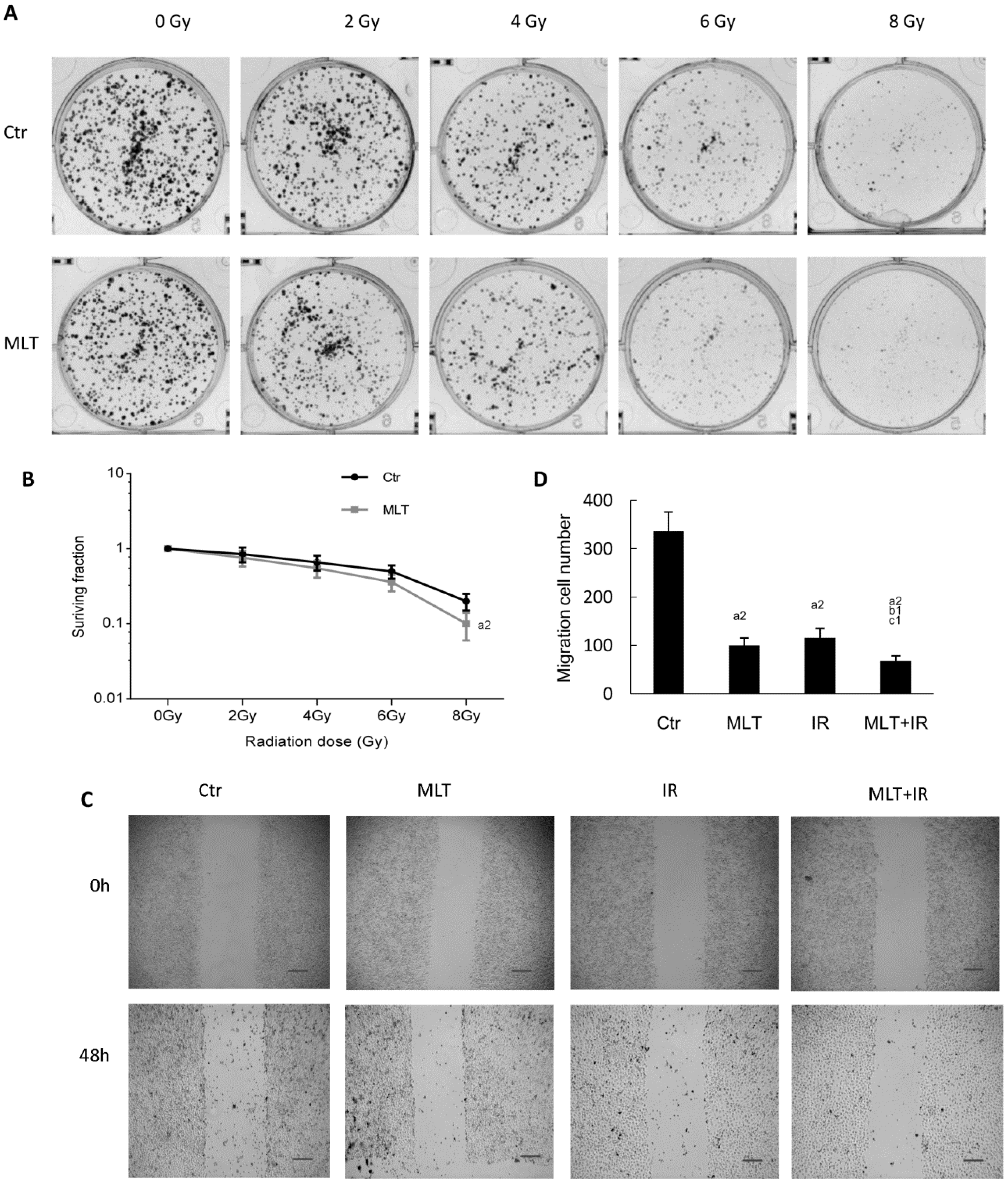 Ijms 19 03974 g002