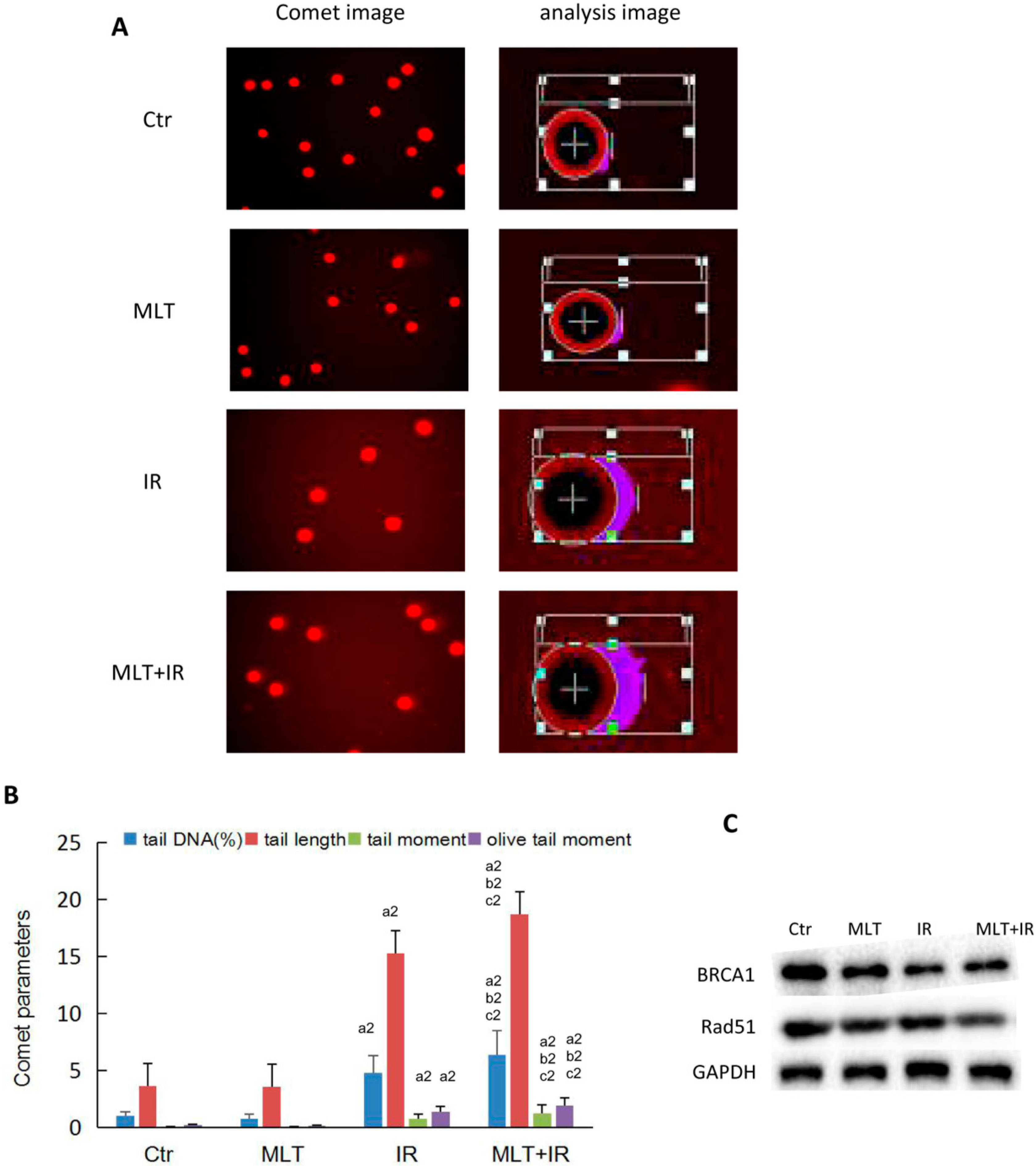 Ijms 19 03974 g004