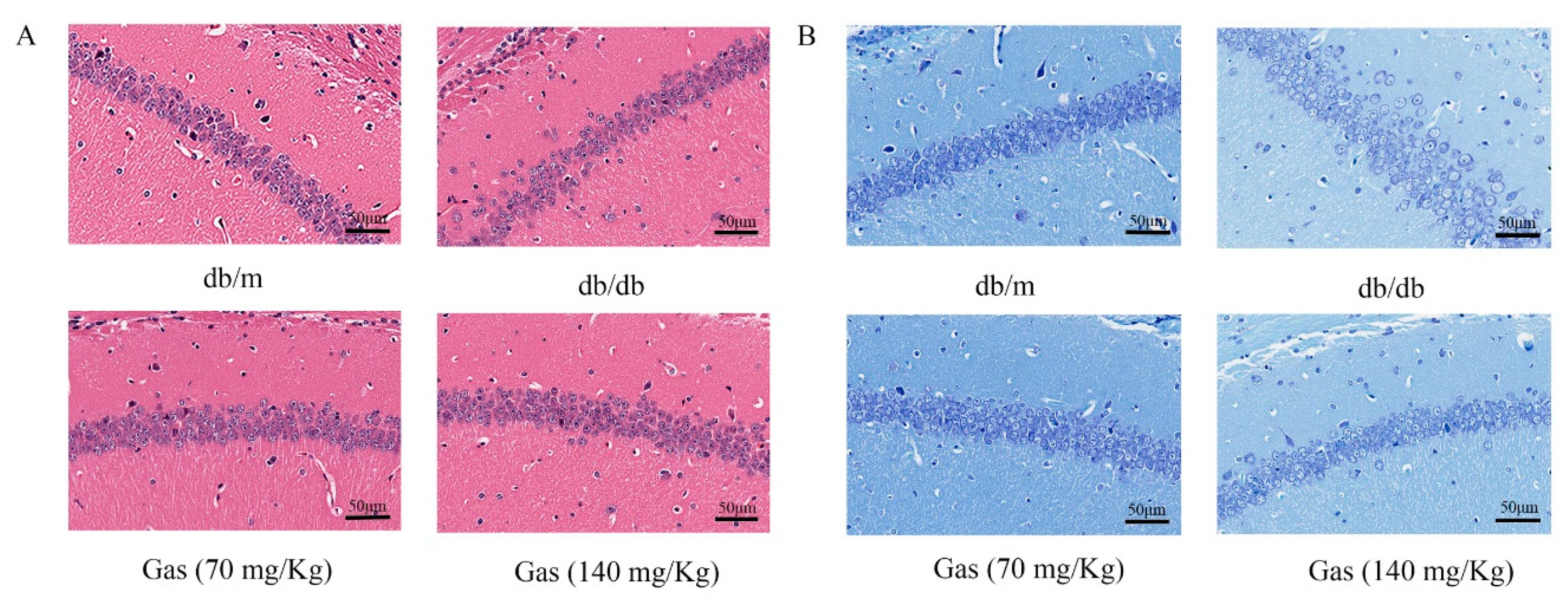 Ijms 19 03977 g007 Ijms 19 03977 g007